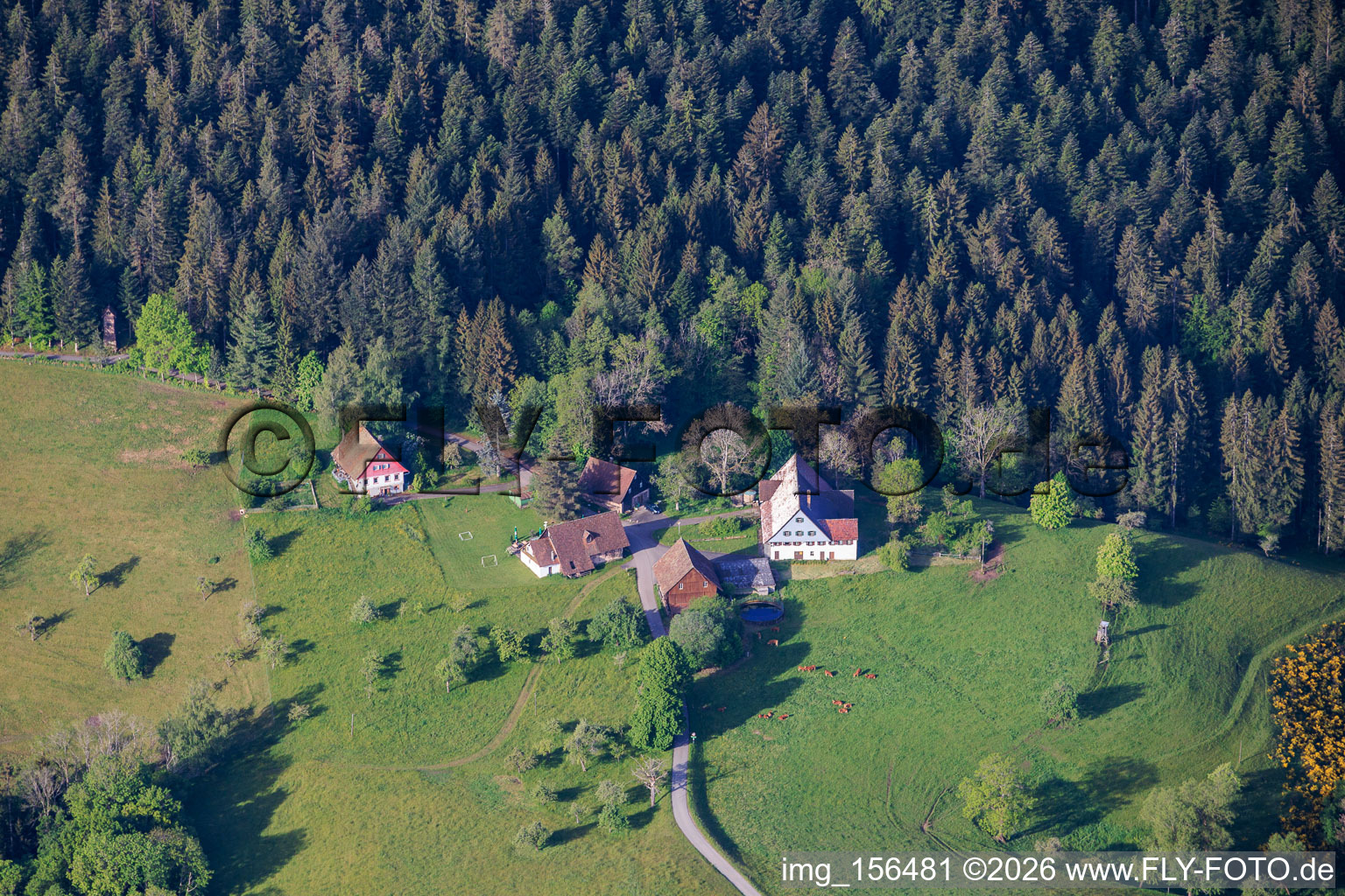 Salle Hinterholz à le quartier Ober-Staigenbach in Schiltach dans le département Bade-Wurtemberg, Allemagne