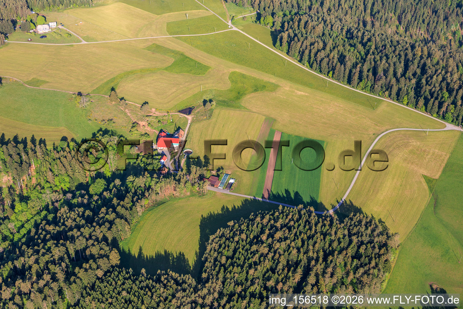 Fermes de la Forêt-Noire à le quartier Unter-Reichenbach in Hornberg dans le département Bade-Wurtemberg, Allemagne