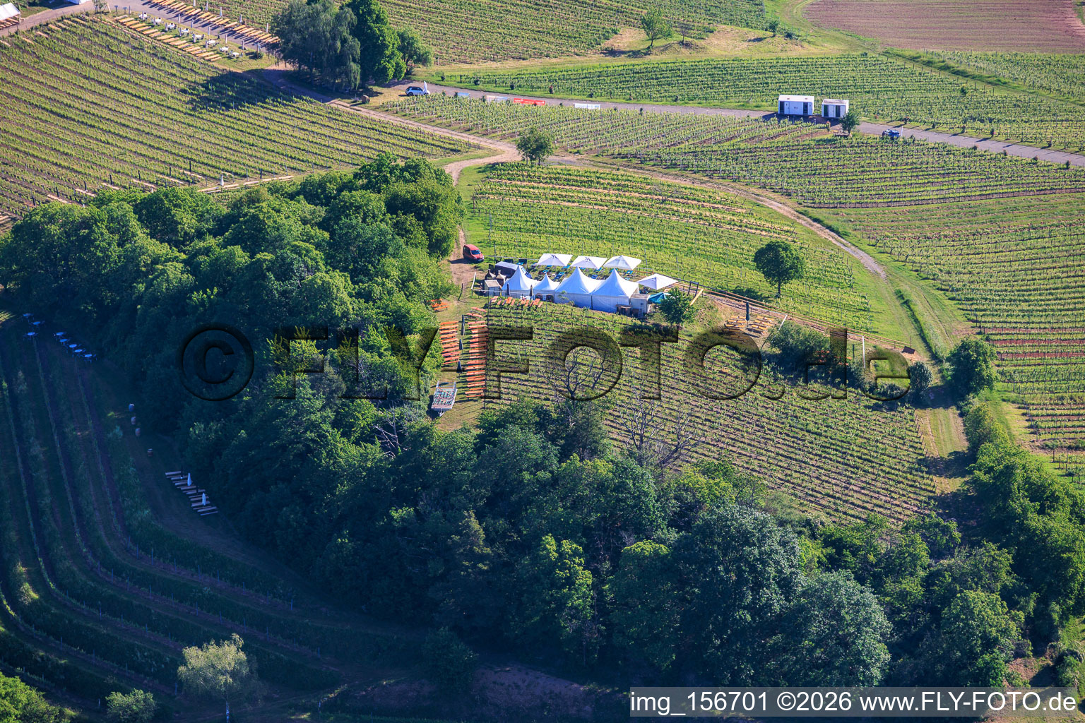 Fête du vin au printemps, à la Pentecôte, dans les vignes. Grande présentation de vins au cœur du vignoble « Kastanienbusch » (Plus beau festival des vins du Palatinat 2012). à Birkweiler dans le département Rhénanie-Palatinat, Allemagne