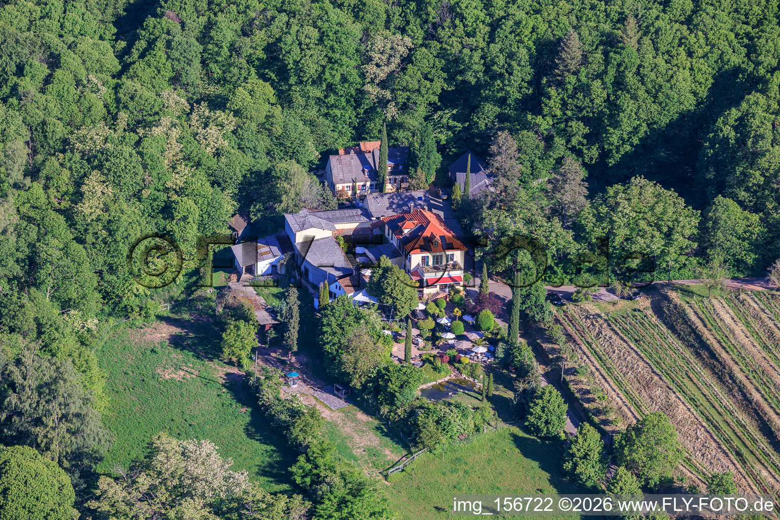 Domaine viticole Sankt Annaberg avec jardin en bordure de forêt à Burrweiler dans le département Rhénanie-Palatinat, Allemagne