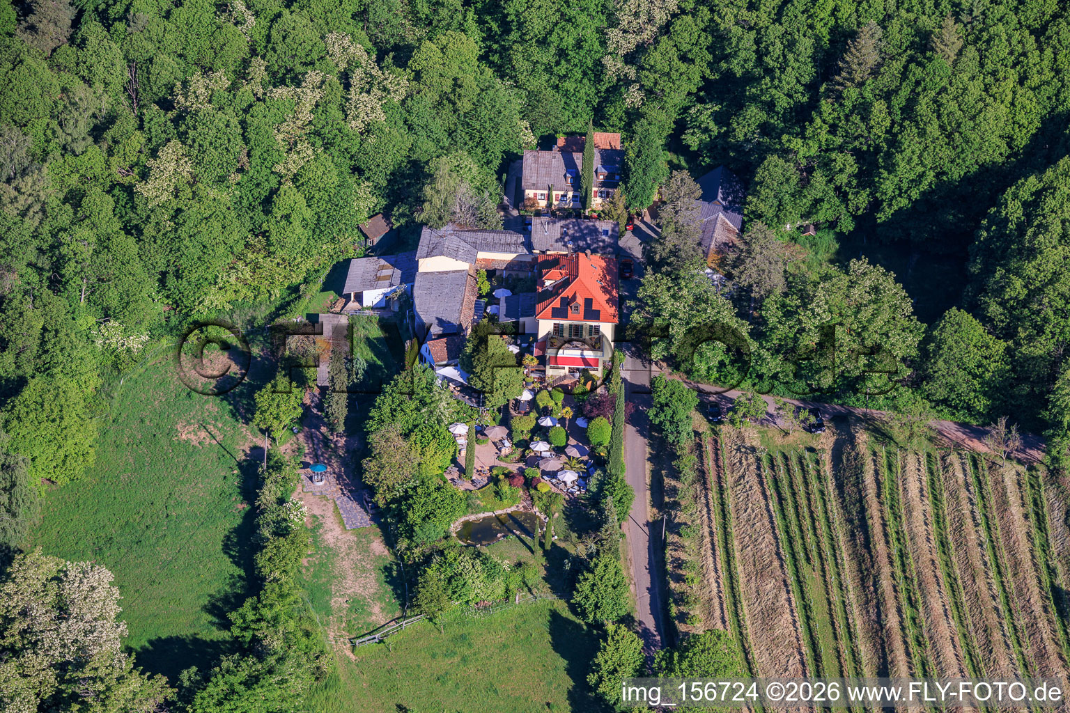 Domaine viticole Sankt Annaberg avec jardin en bordure de forêt à Burrweiler dans le département Rhénanie-Palatinat, Allemagne
