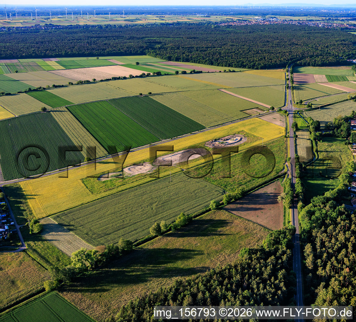 Création de nouvelles zones de compensation biotopique pour le déplacement du vanneau huppé suite à l'implantation du parc éolien sur la Maxstrasse. à Hatzenbühl dans le département Rhénanie-Palatinat, Allemagne