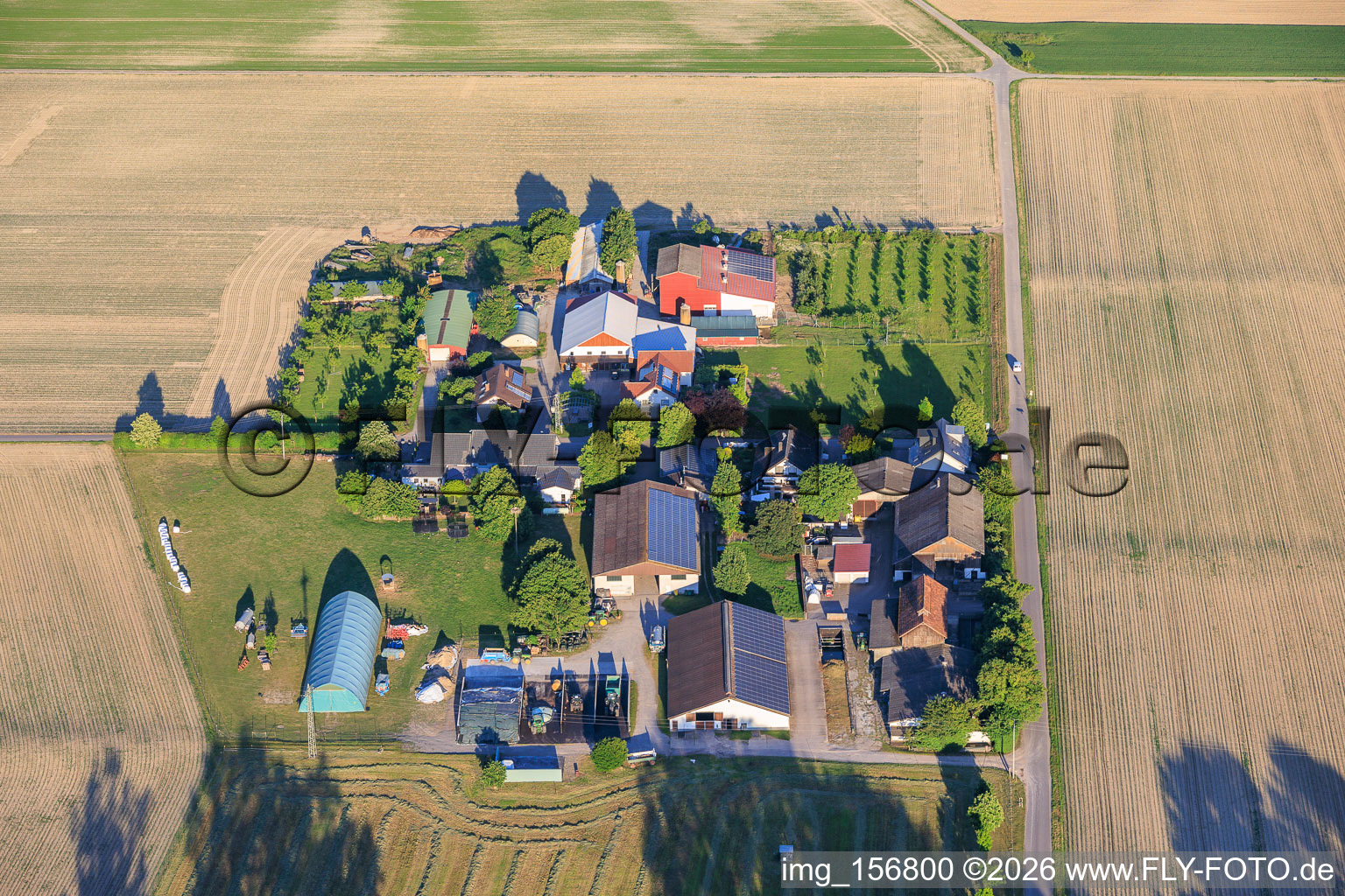 Jägerhof et Burgerhof à Neupotz dans le département Rhénanie-Palatinat, Allemagne