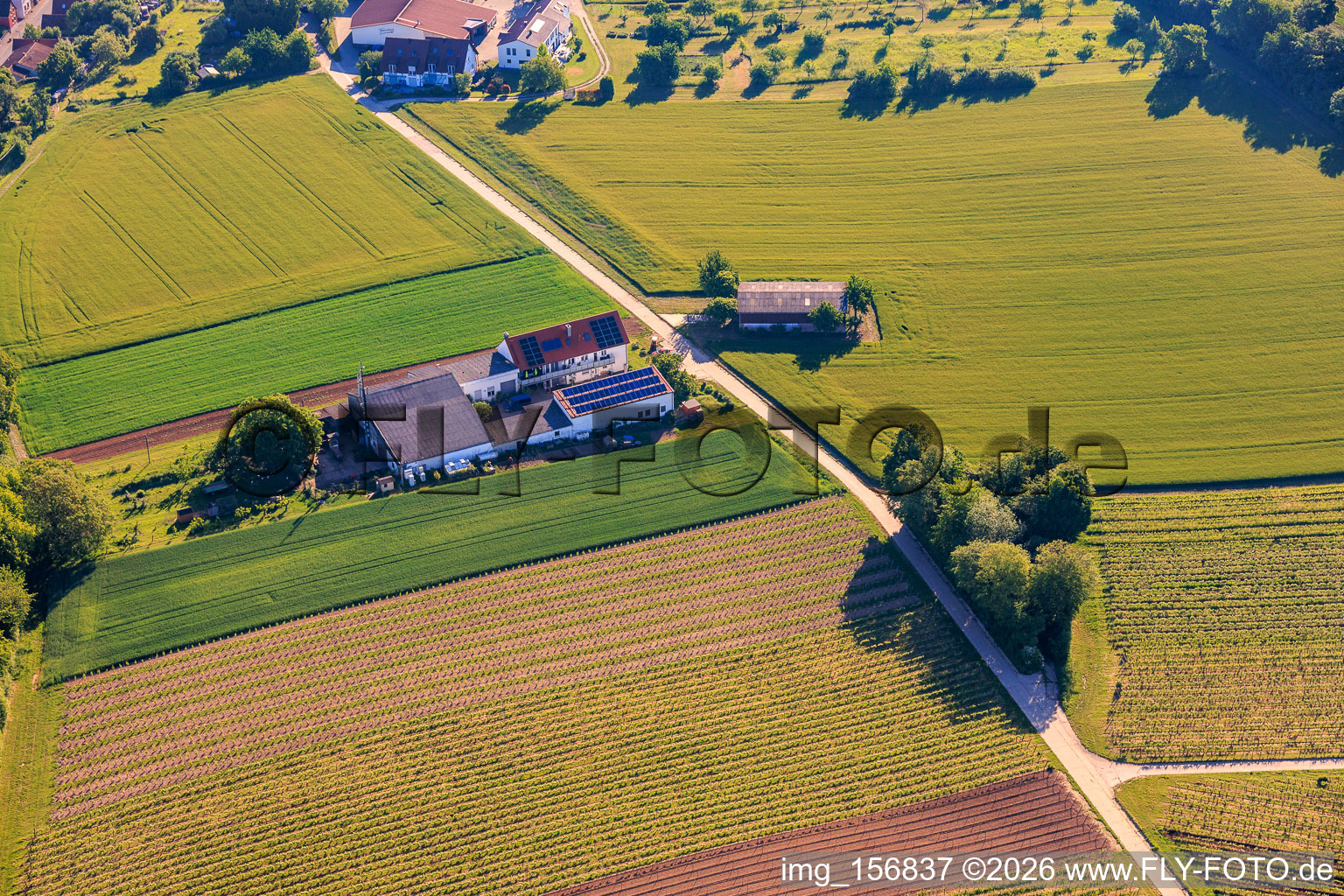 Kehler Hof à le quartier Ingenheim in Billigheim-Ingenheim dans le département Rhénanie-Palatinat, Allemagne