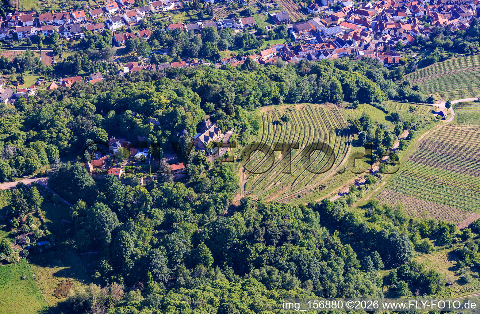 Château de Kropsburg à le quartier SaintMartin in Sankt Martin dans le département Rhénanie-Palatinat, Allemagne