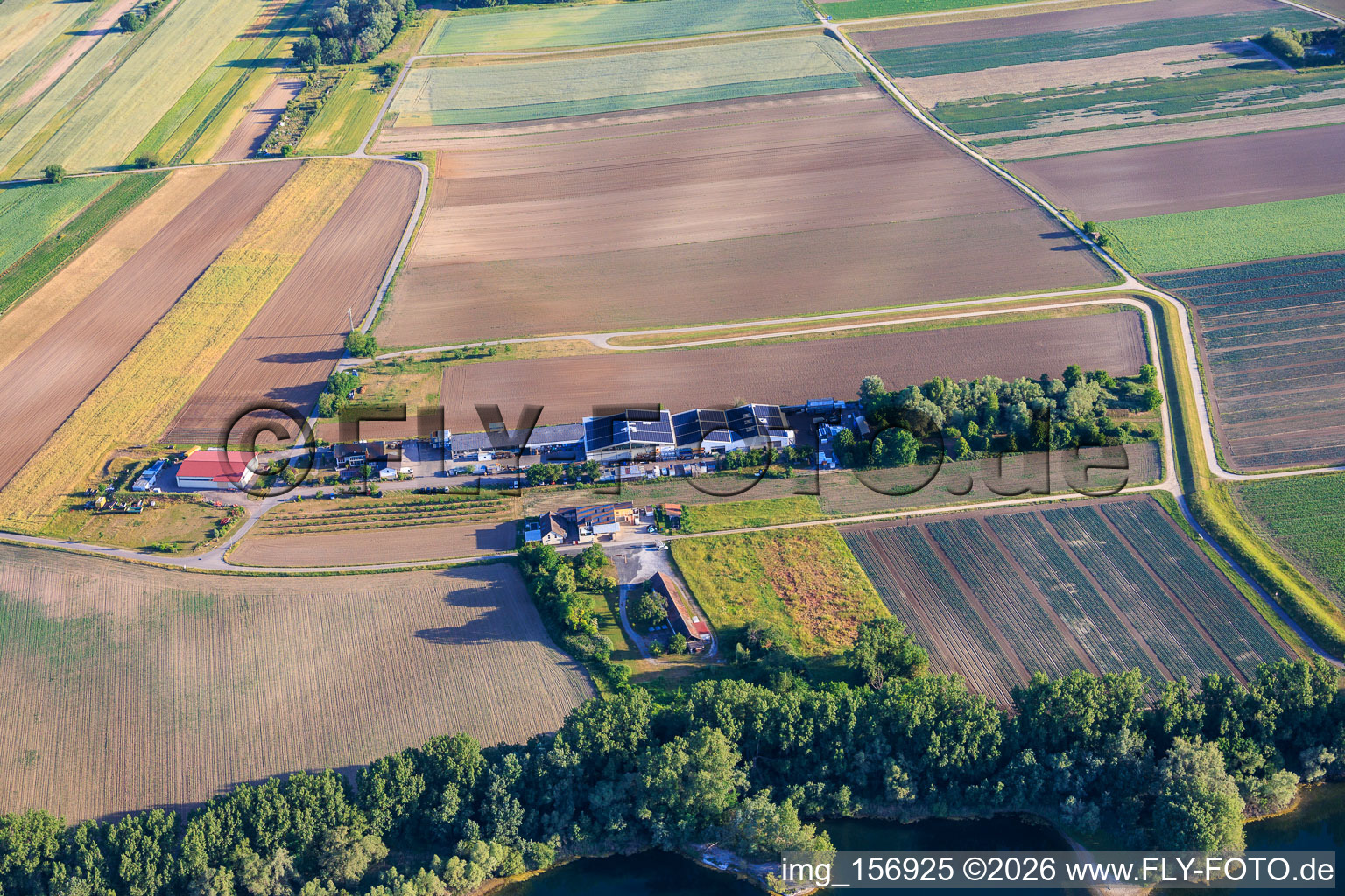 Jesterhof Agriculture : culture de fruits et légumes, magasin à la ferme, distillerie, ancienne briqueterie et parc industriel Rheinfeldstraße avec Celsa Messgeräte GmbH et Solisation GmbH à le quartier Mechtersheim in Römerberg dans le département Rhénanie-Palatinat, Allemagne