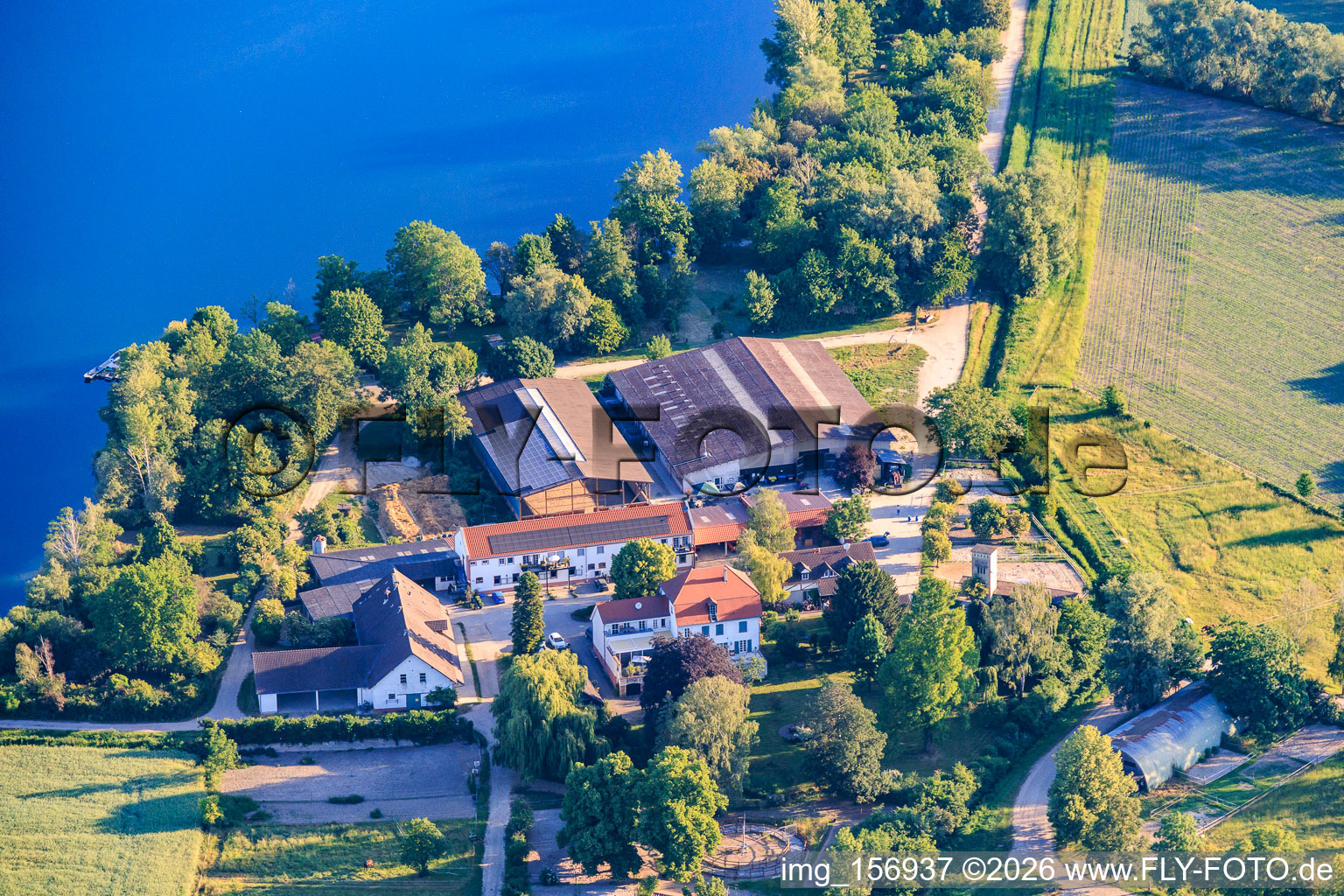Avec un club d'équitation Speyer eV sur les rives du Wammsee à le quartier Ludwigshof in Speyer dans le département Rhénanie-Palatinat, Allemagne
