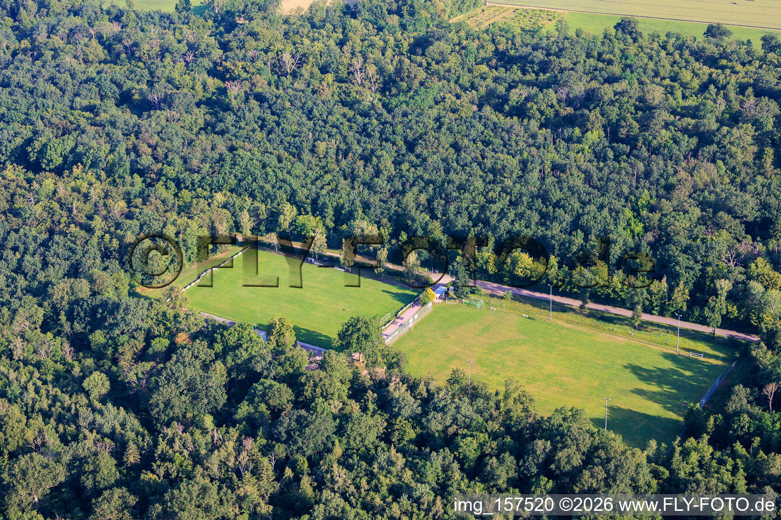 Terrain de football du VfB 1921 Hochstadt eV dans la forêt à le quartier Niederhochstadt in Hochstadt dans le département Rhénanie-Palatinat, Allemagne