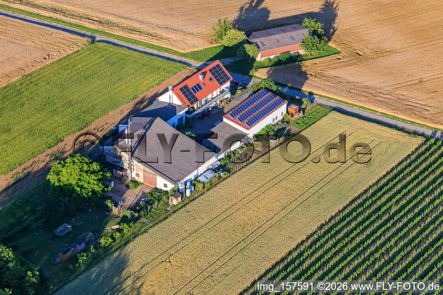 Ferme de Kehler Hof à le quartier Ingenheim in Billigheim-Ingenheim dans le département Rhénanie-Palatinat, Allemagne