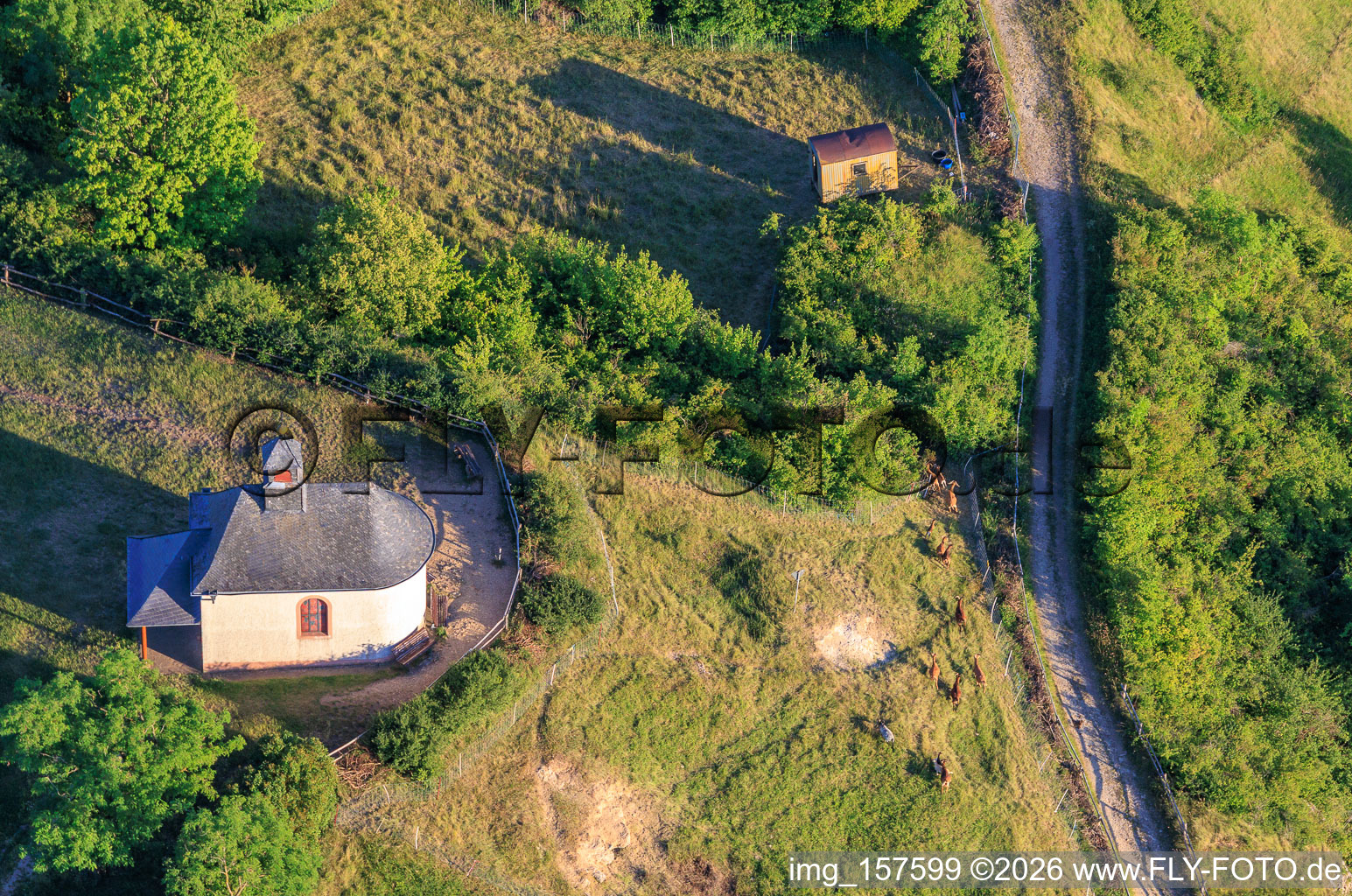 Chapelle Kleine Kalmit avec troupeau de chèvres à le quartier Arzheim in Landau in der Pfalz dans le département Rhénanie-Palatinat, Allemagne