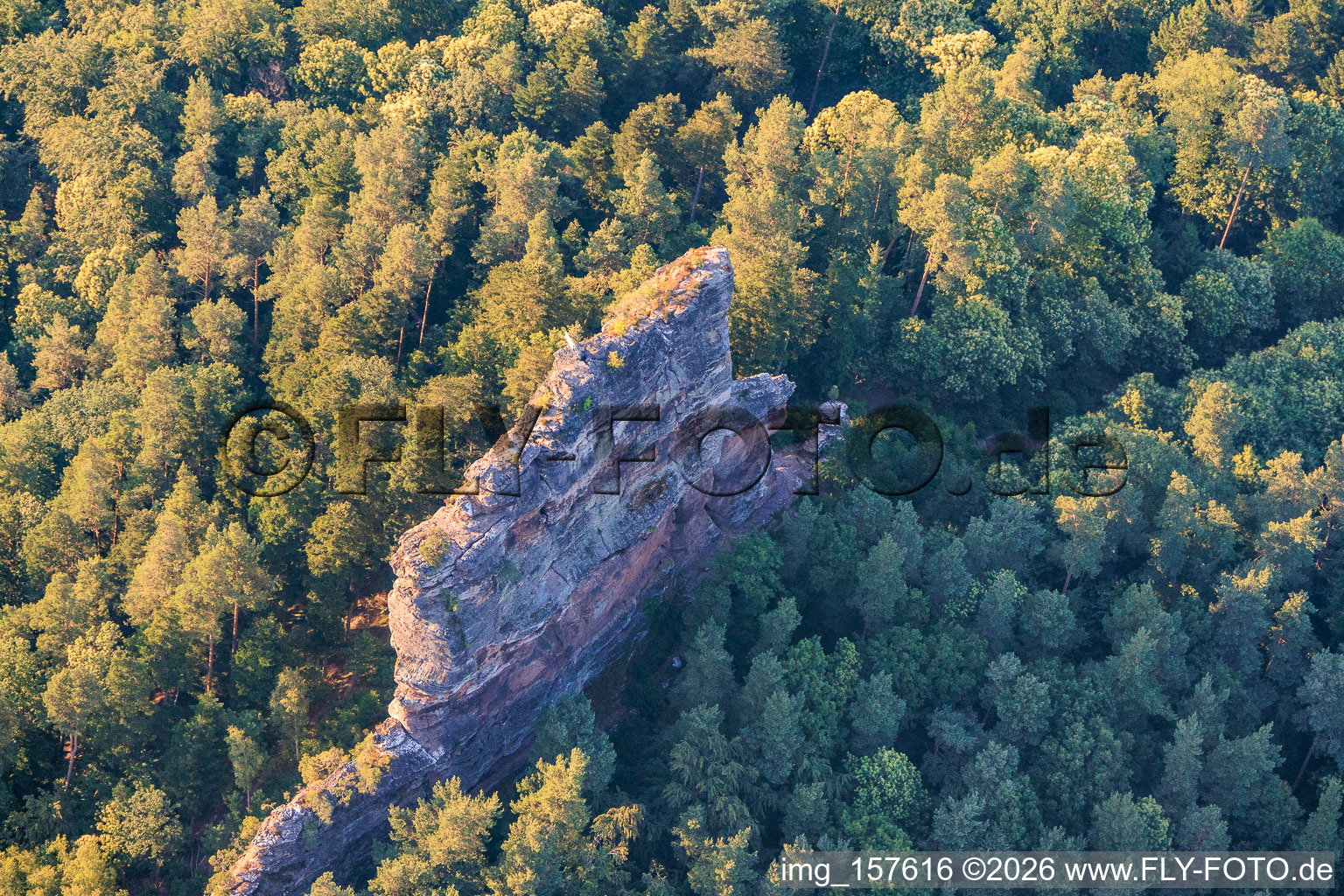 Escalade à Asselstein à Annweiler am Trifels dans le département Rhénanie-Palatinat, Allemagne