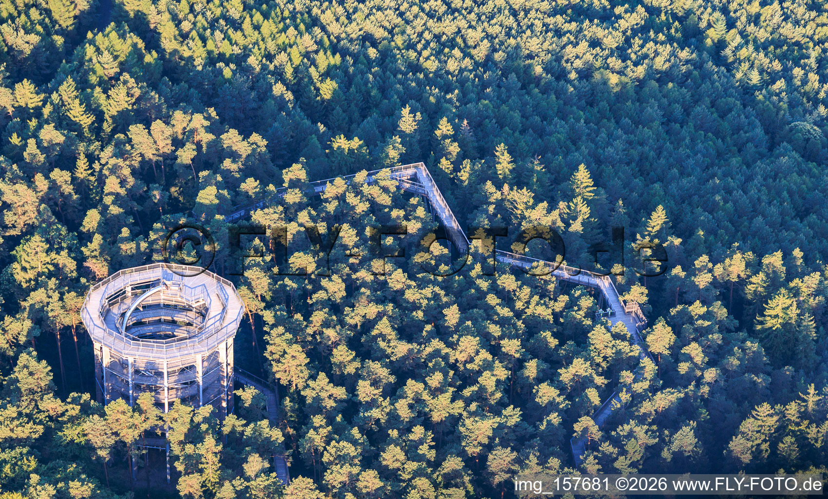 Promenade dans les arbres Alsace / Chemin des Cimes Alsace à Cleebourg dans le département Bas Rhin, France
