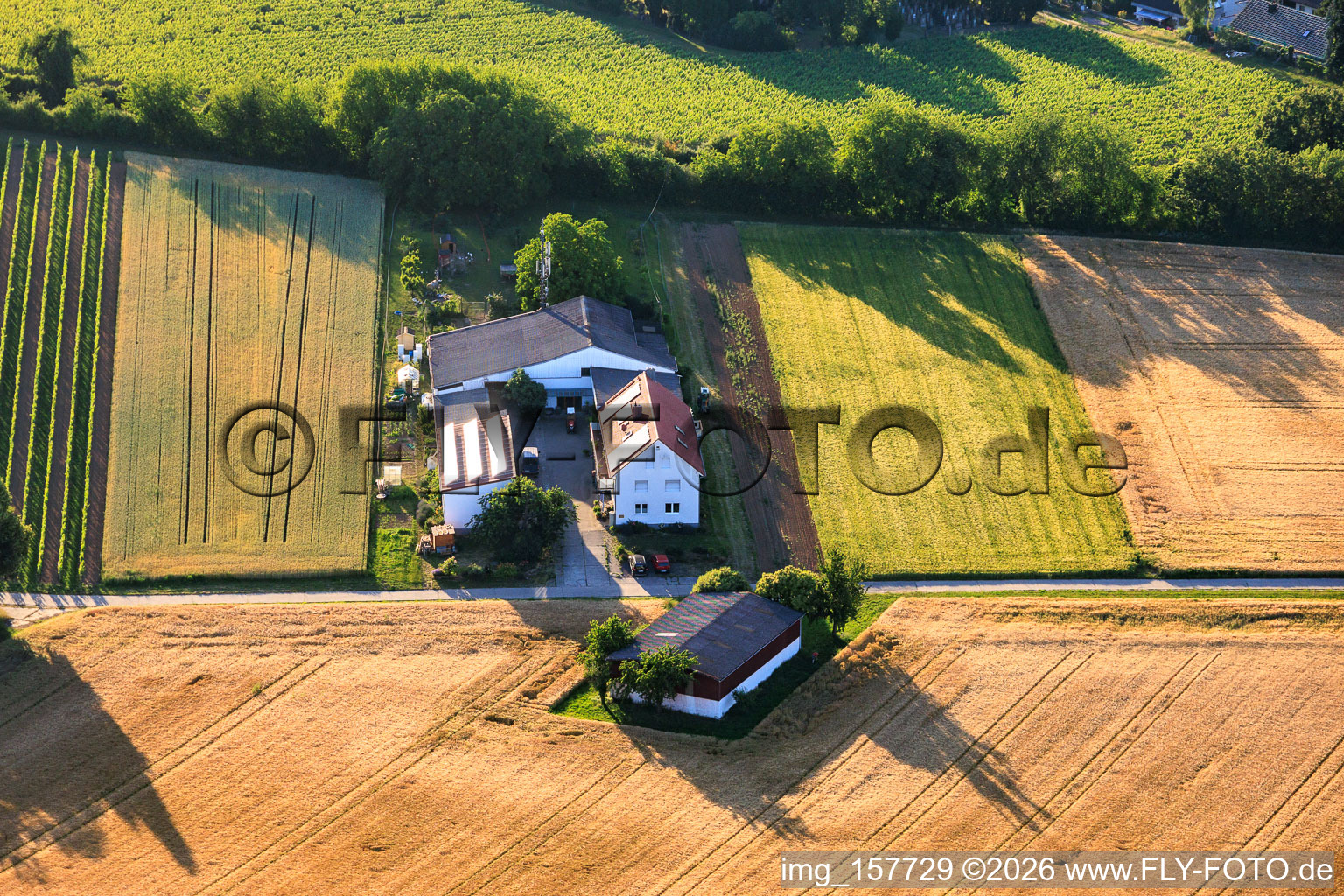 Ferme de Kehler Hof à le quartier Ingenheim in Billigheim-Ingenheim dans le département Rhénanie-Palatinat, Allemagne