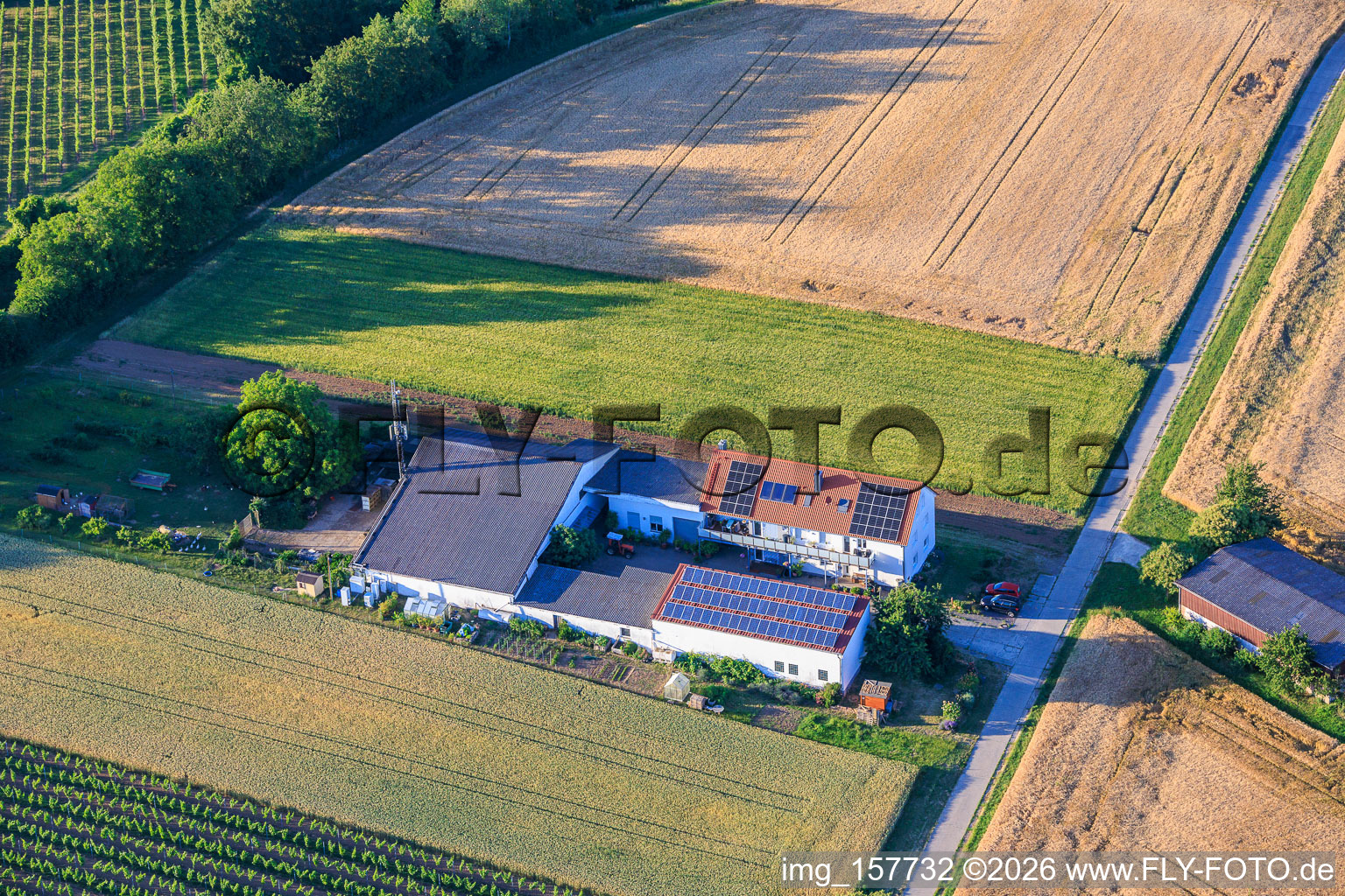 Ferme de Kehler Hof à le quartier Ingenheim in Billigheim-Ingenheim dans le département Rhénanie-Palatinat, Allemagne