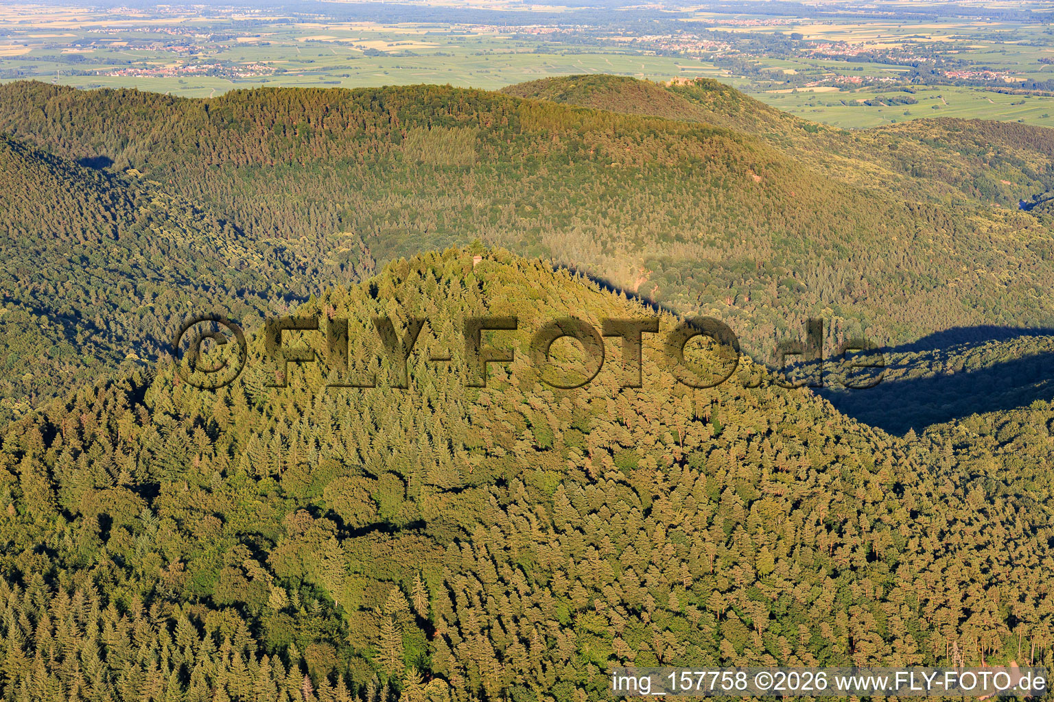 Tour Rehberg à Waldrohrbach dans le département Rhénanie-Palatinat, Allemagne