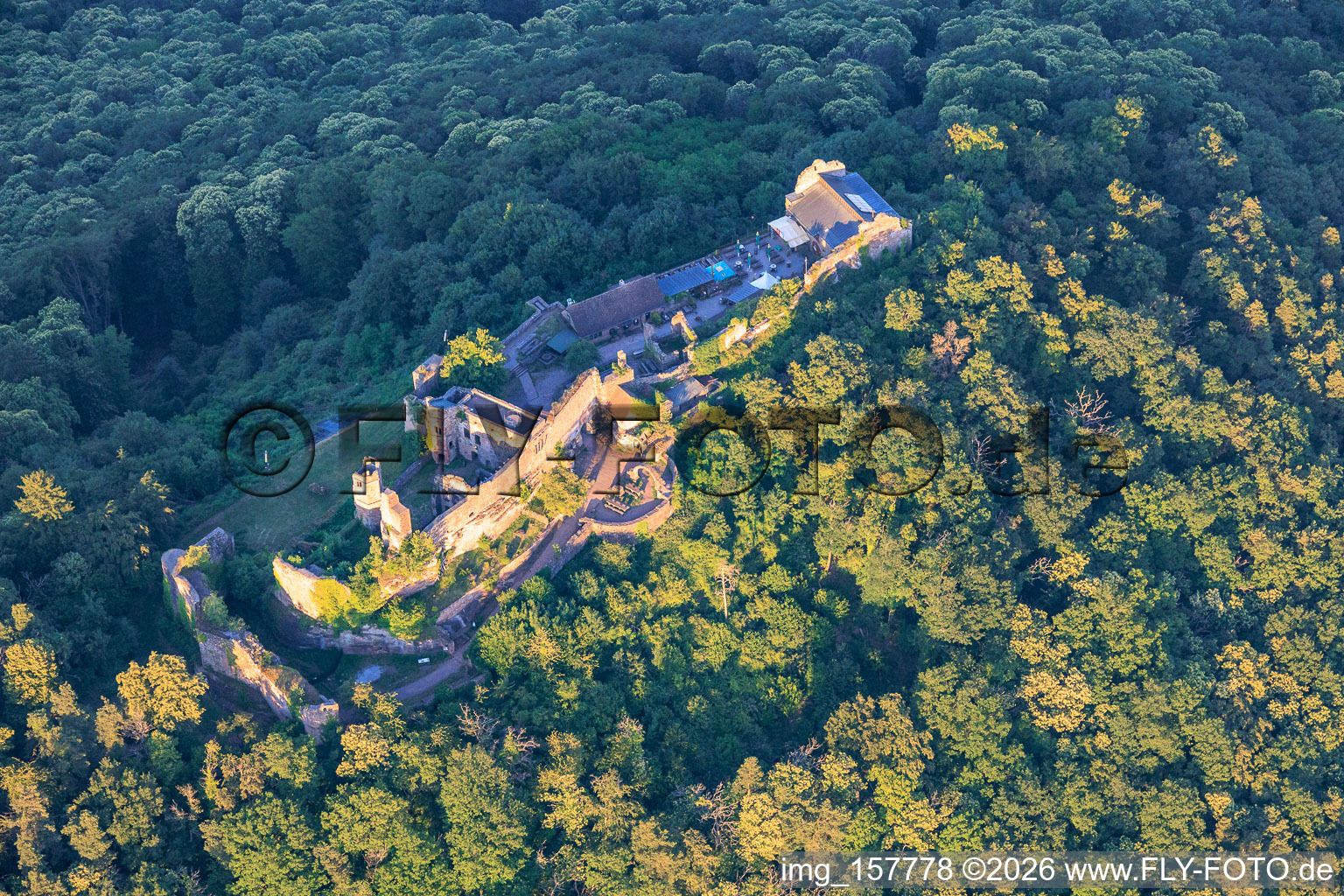 Ruines du château de Madenburg vues de l'ouest à Eschbach dans le département Rhénanie-Palatinat, Allemagne