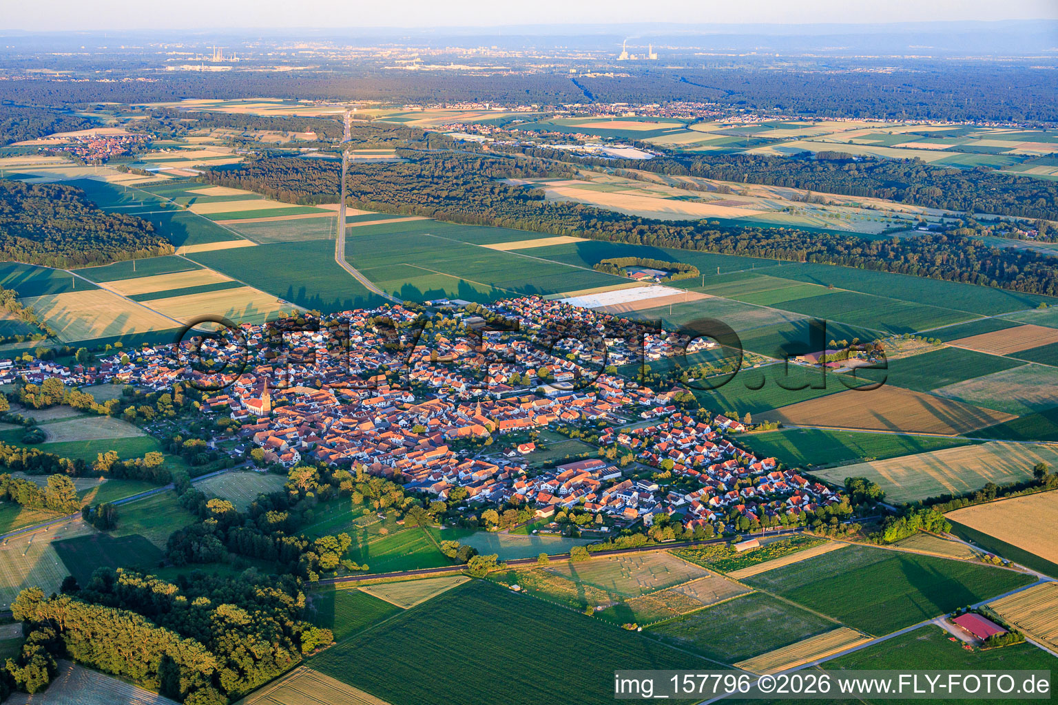Du nord-ouest à Steinweiler dans le département Rhénanie-Palatinat, Allemagne