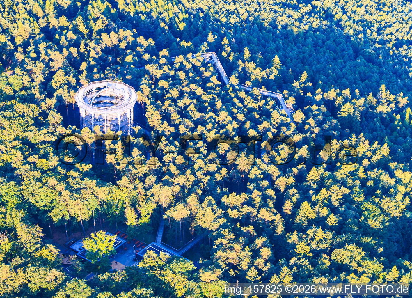 Promenade dans les arbres Alsace / Chemin des Cimes Alsace à Cleebourg dans le département Bas Rhin, France