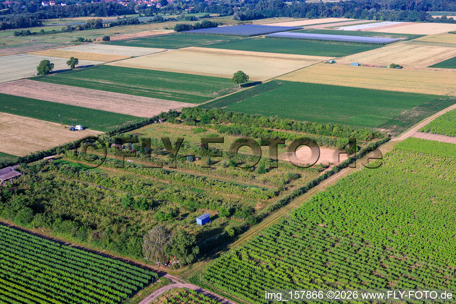 Plantation avec zone de travail pour la construction d'éoliennes à le quartier Mühlhofen in Billigheim-Ingenheim dans le département Rhénanie-Palatinat, Allemagne