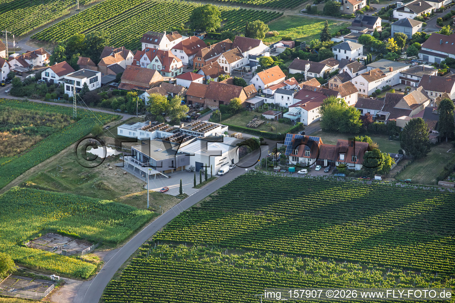 Caviste Weingut Sauer à Nußdorf à le quartier Nußdorf in Landau in der Pfalz dans le département Rhénanie-Palatinat, Allemagne
