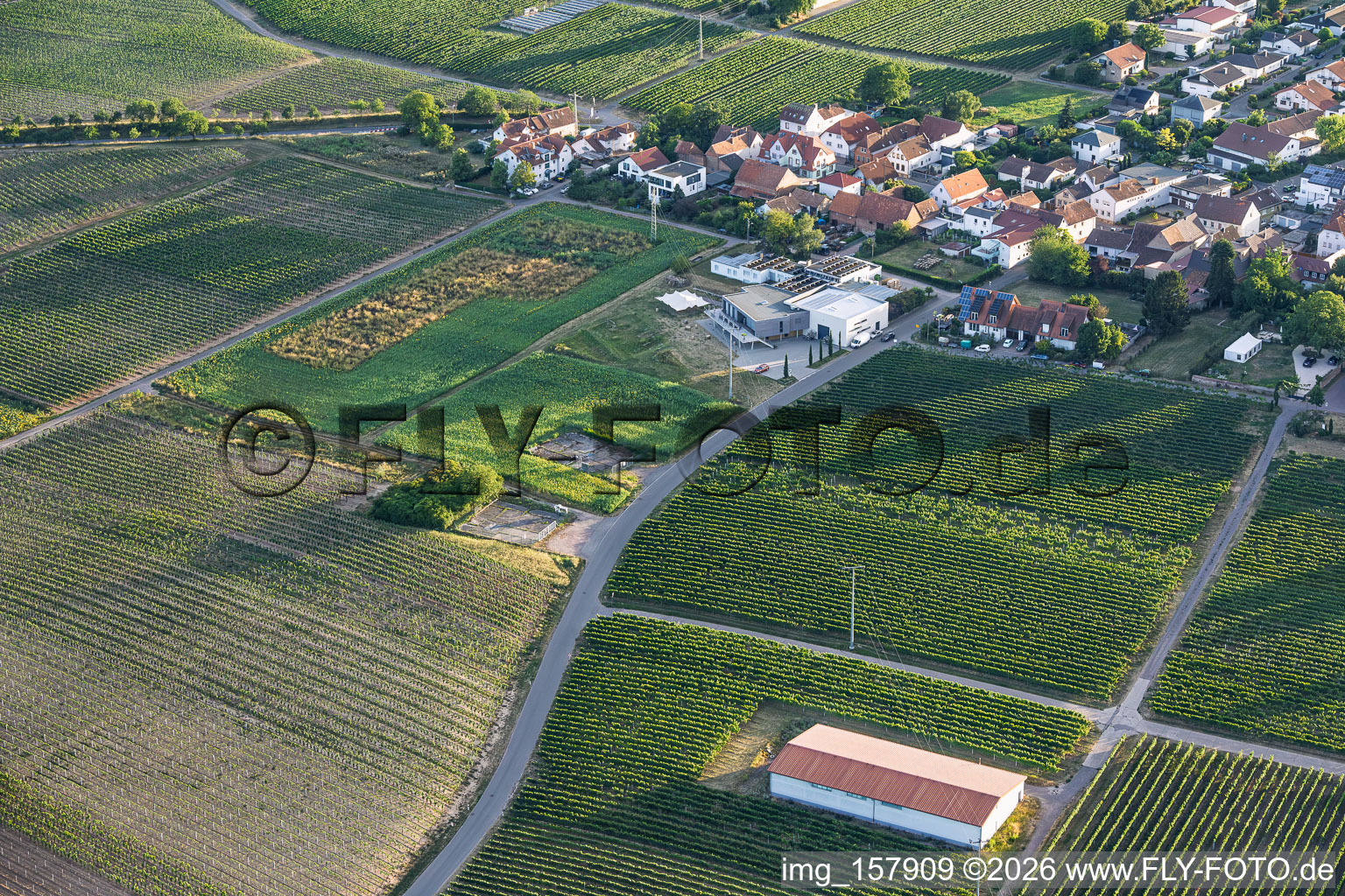 Caviste Weingut Familie Sauer à le quartier Nußdorf in Landau in der Pfalz dans le département Rhénanie-Palatinat, Allemagne