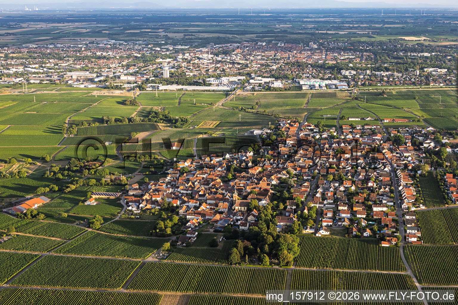 Village viticole du nord à le quartier Nußdorf in Landau in der Pfalz dans le département Rhénanie-Palatinat, Allemagne