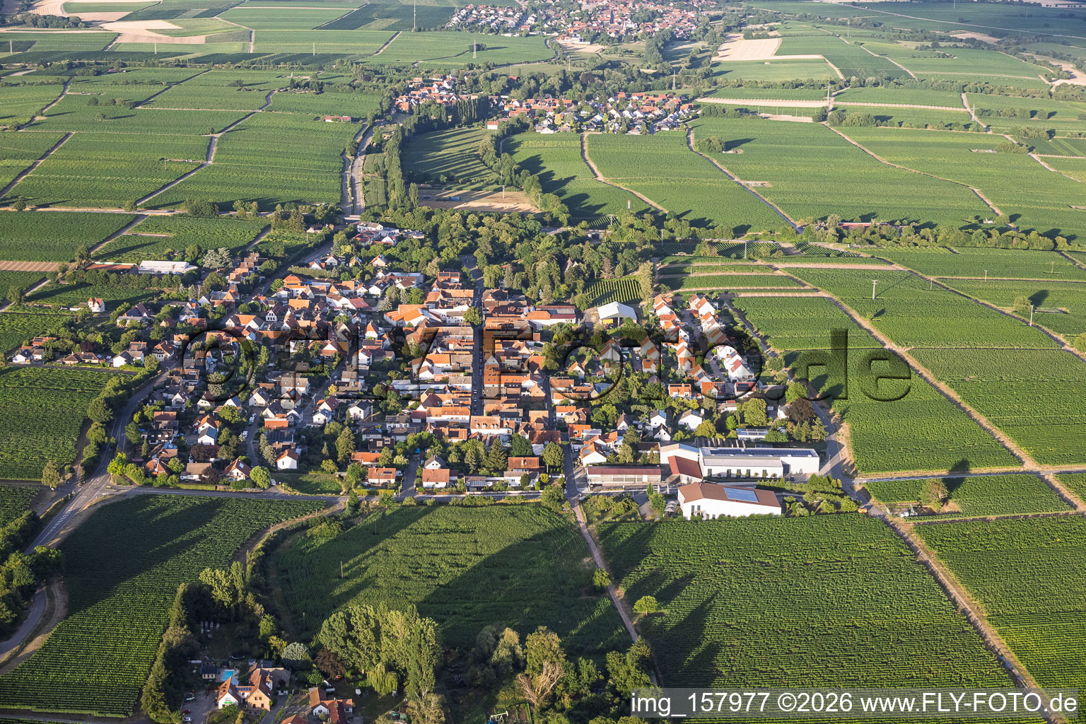 Vue du village depuis l'ouest avec le domaine viticole Karl Pfaffmann à Walsheim dans le département Rhénanie-Palatinat, Allemagne