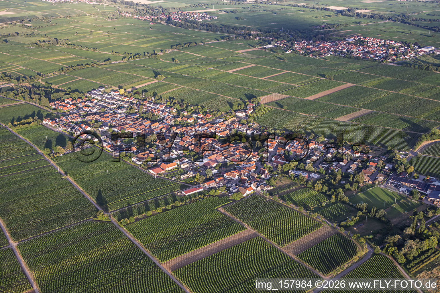 Village viticole du nord-ouest à Roschbach dans le département Rhénanie-Palatinat, Allemagne