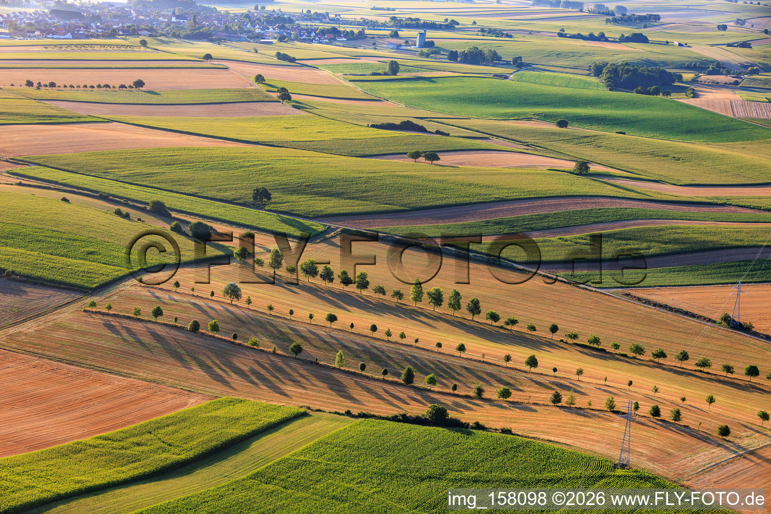Rangées d'arbres en bordure des chemins de campagne entre les chaumes à Schleithal dans le département Bas Rhin, France