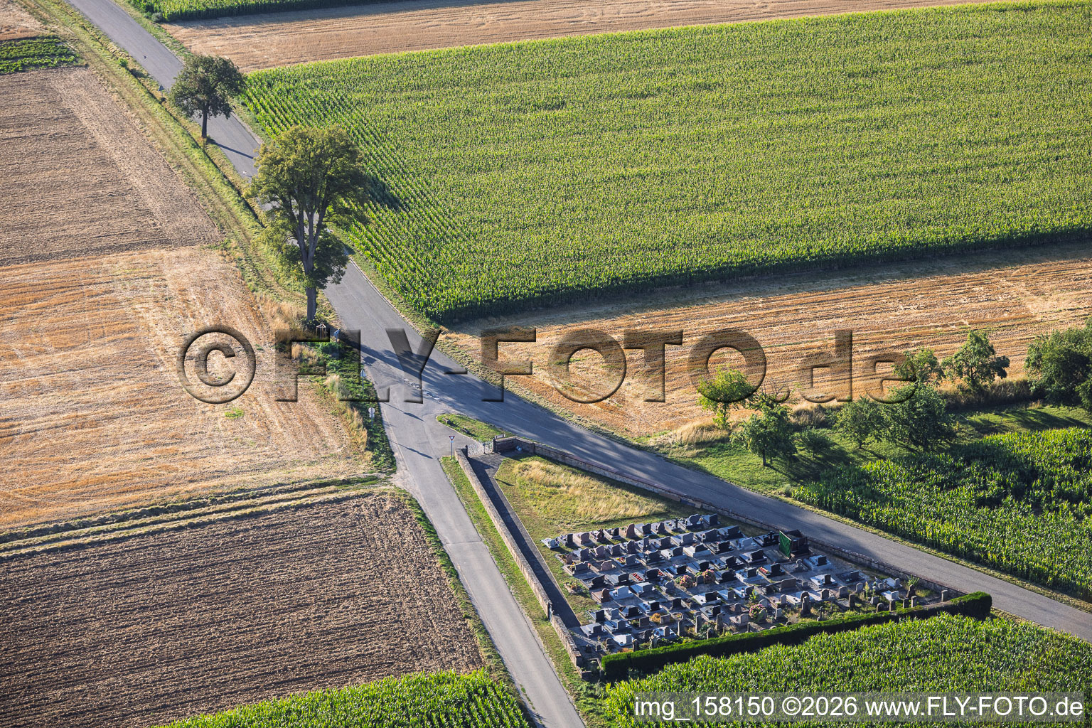 Cimetière de Hermerswiller à Hoffen dans le département Bas Rhin, France