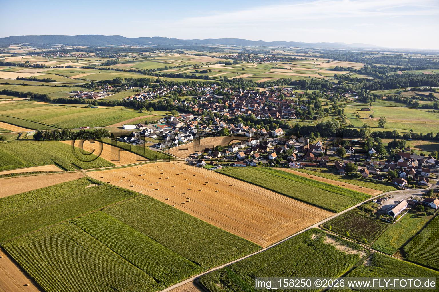Quartier de Leiterswiller vu du sud à Hoffen dans le département Bas Rhin, France