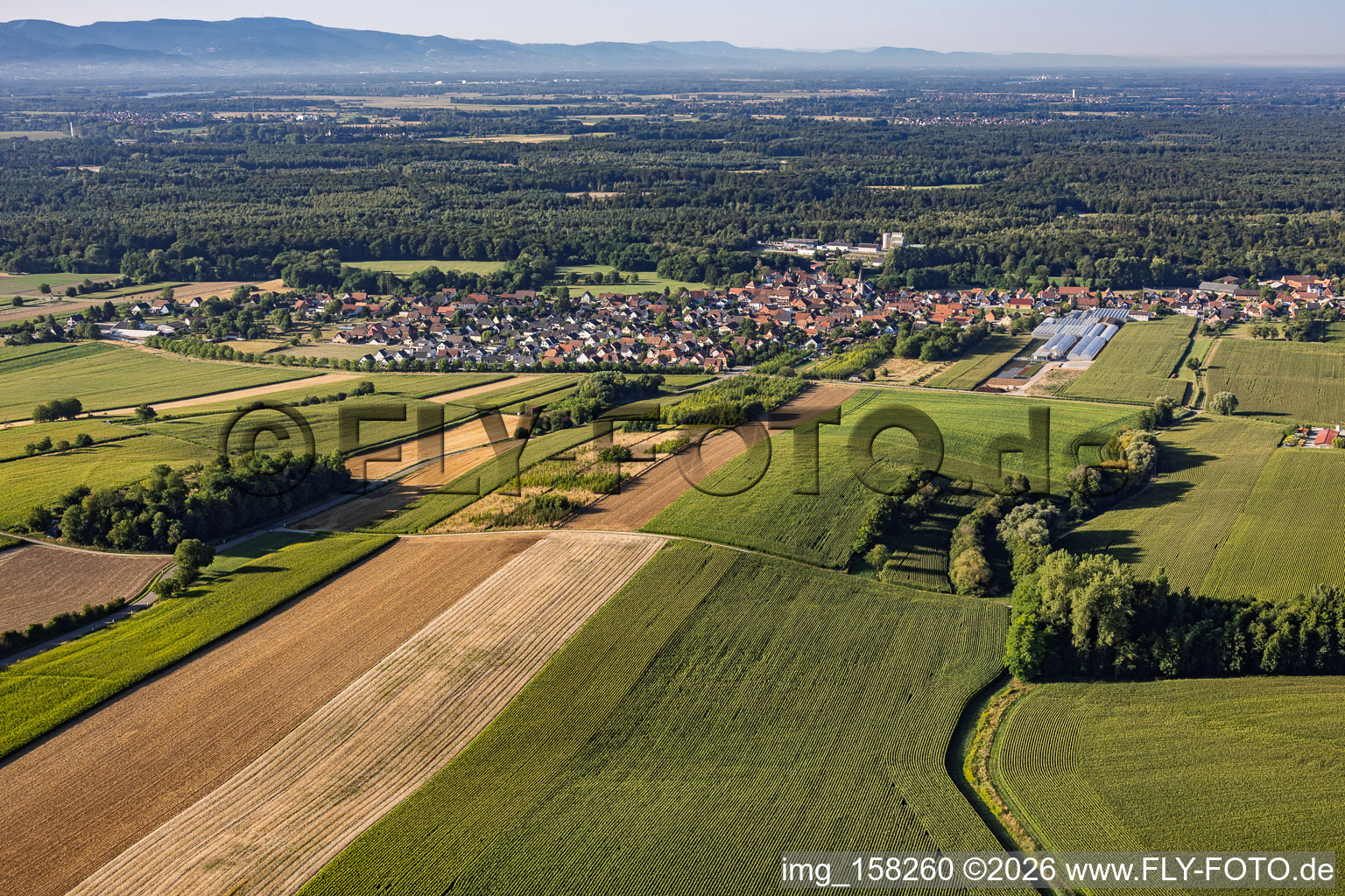 Du nord à Niederrœdern dans le département Bas Rhin, France
