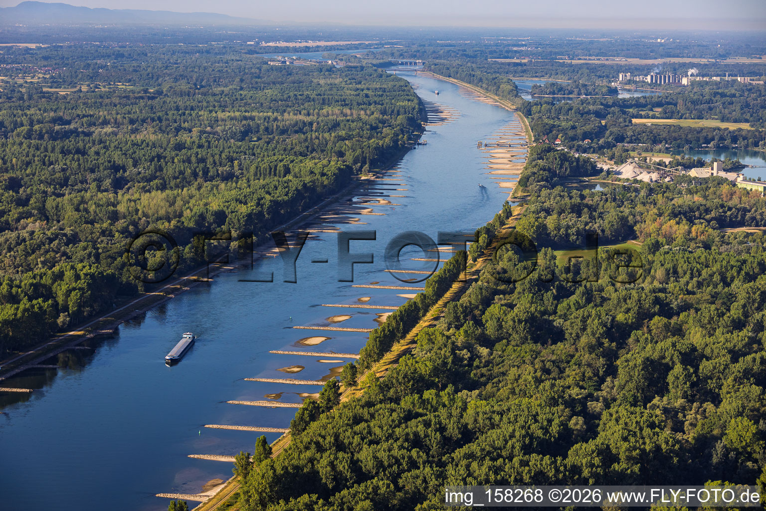 Rhin en période d'étiage à Munchhausen dans le département Bas Rhin, France