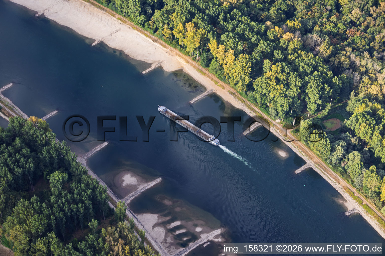 Cargo vide à marée basse sur le Rhin entre Hördter Rheinaue et Dettenheim à Hördt dans le département Rhénanie-Palatinat, Allemagne