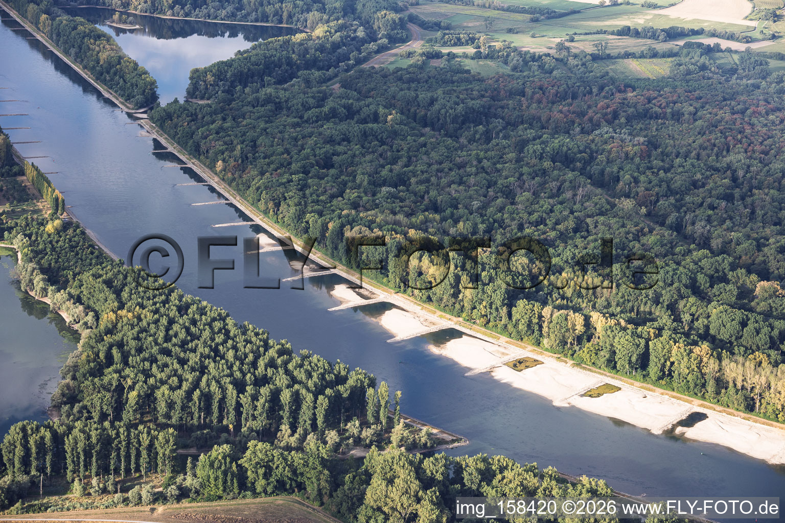 Banquets et épis à marée basse sur le Rhin entre Hördter Rheinaue et Dettenheim à Hördt dans le département Rhénanie-Palatinat, Allemagne