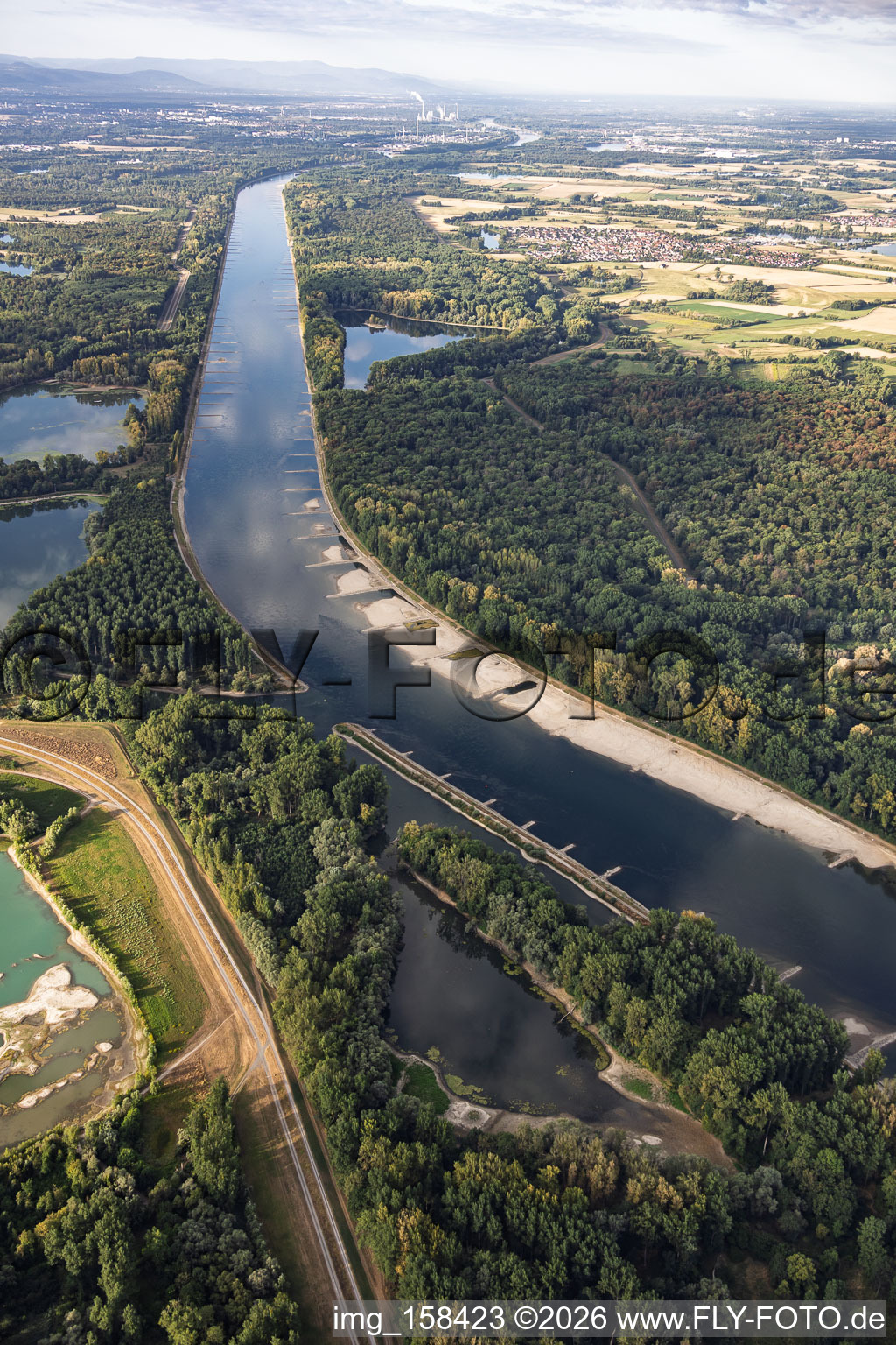 Banquets et épis à marée basse sur le Rhin entre Hördter Rheinaue et Rott Island à Hördt dans le département Rhénanie-Palatinat, Allemagne