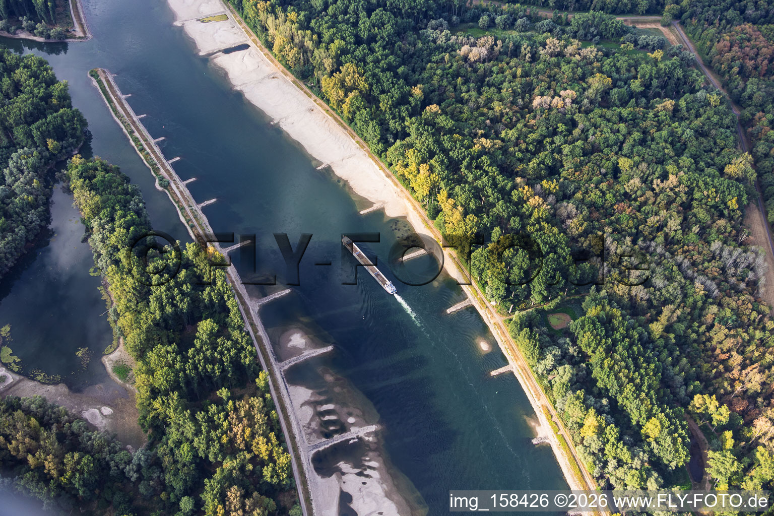 Cargo vide à marée basse sur le Rhin entre Hördter Rheinaue et Dettenheim à Hördt dans le département Rhénanie-Palatinat, Allemagne