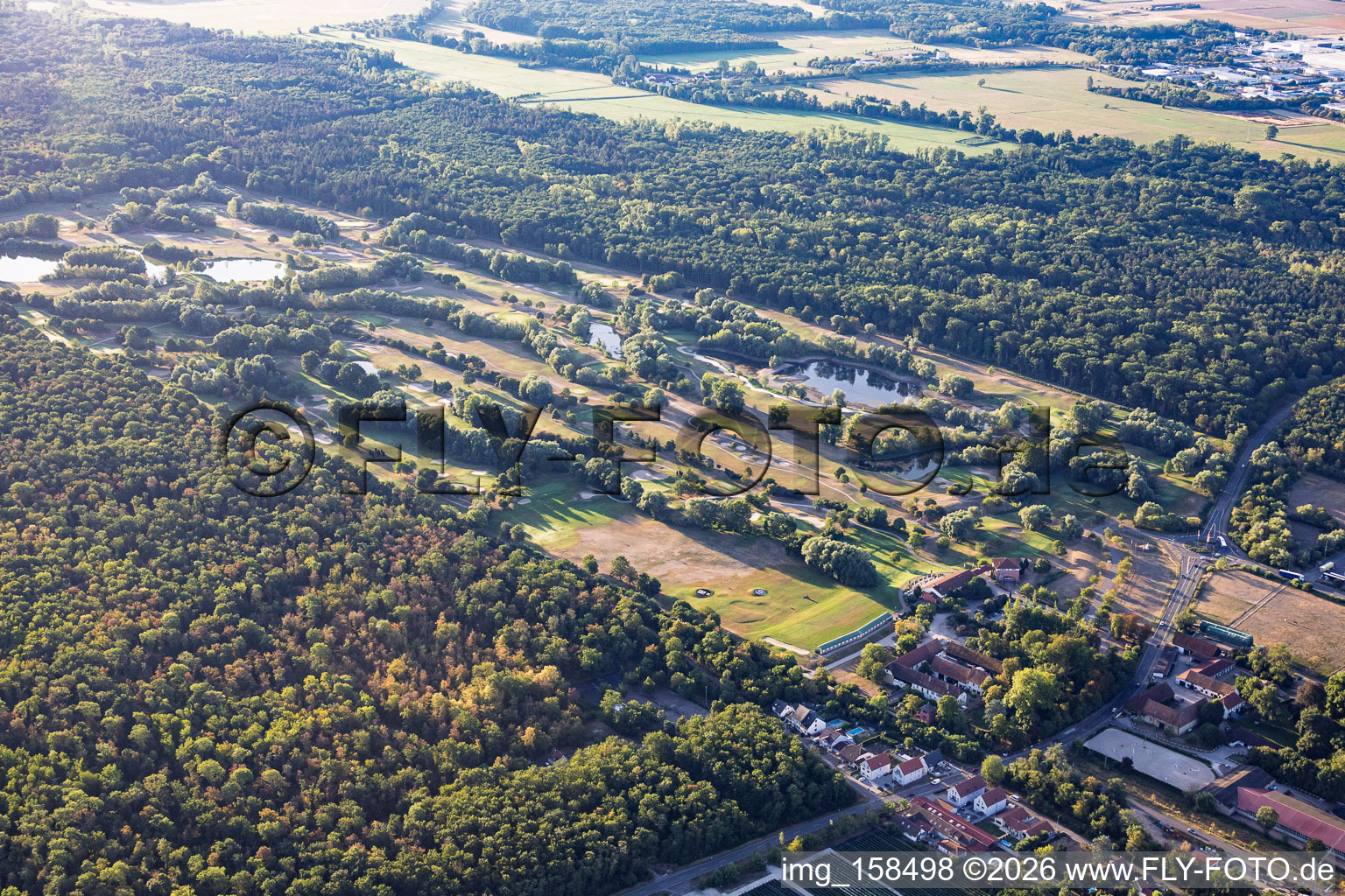 Pelouse du terrain de golf de Landgut Dreihof desséchée par la chaleur estivale - GOLF absolute à le quartier Dreihof in Essingen dans le département Rhénanie-Palatinat, Allemagne