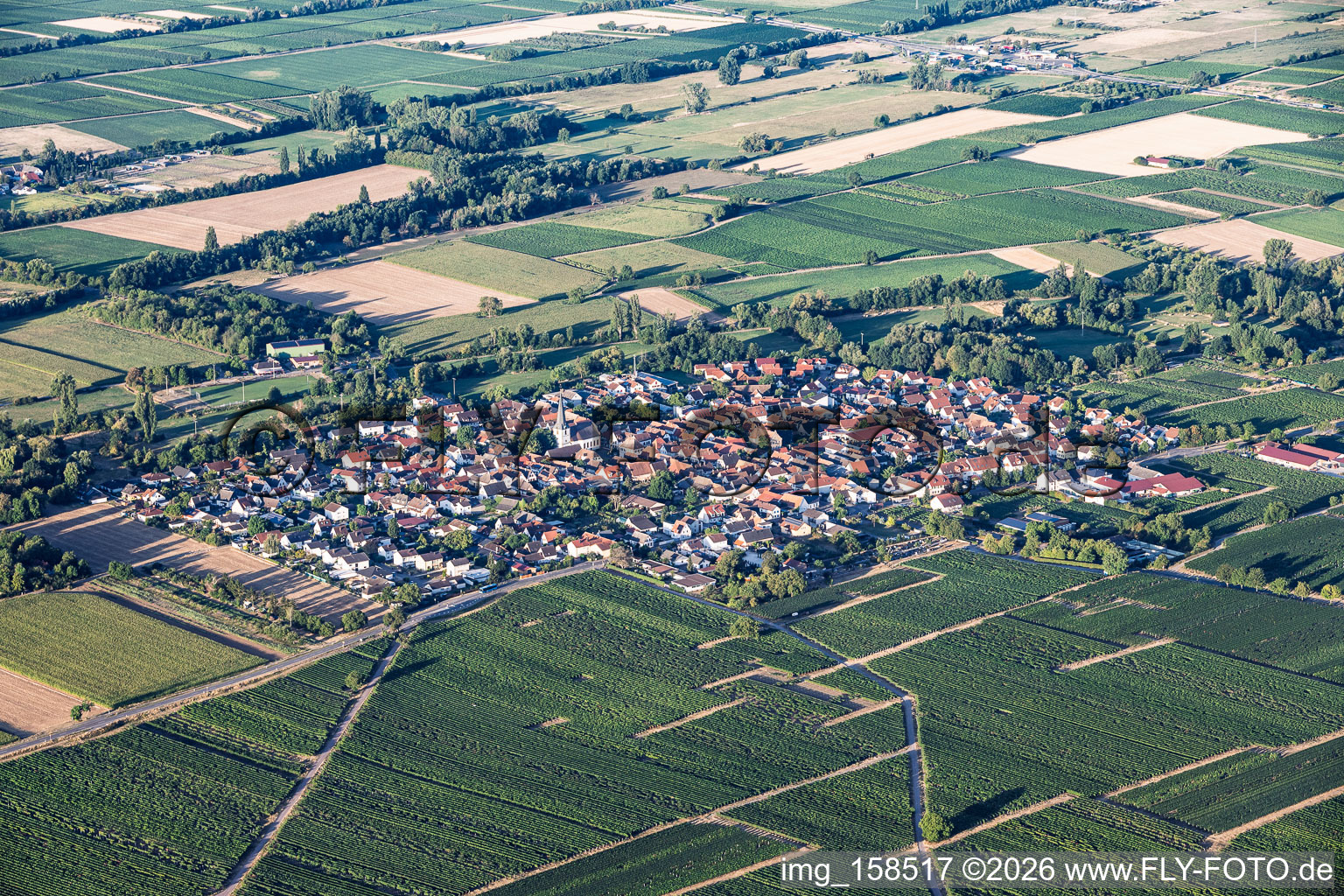 Du nord-est à Venningen dans le département Rhénanie-Palatinat, Allemagne