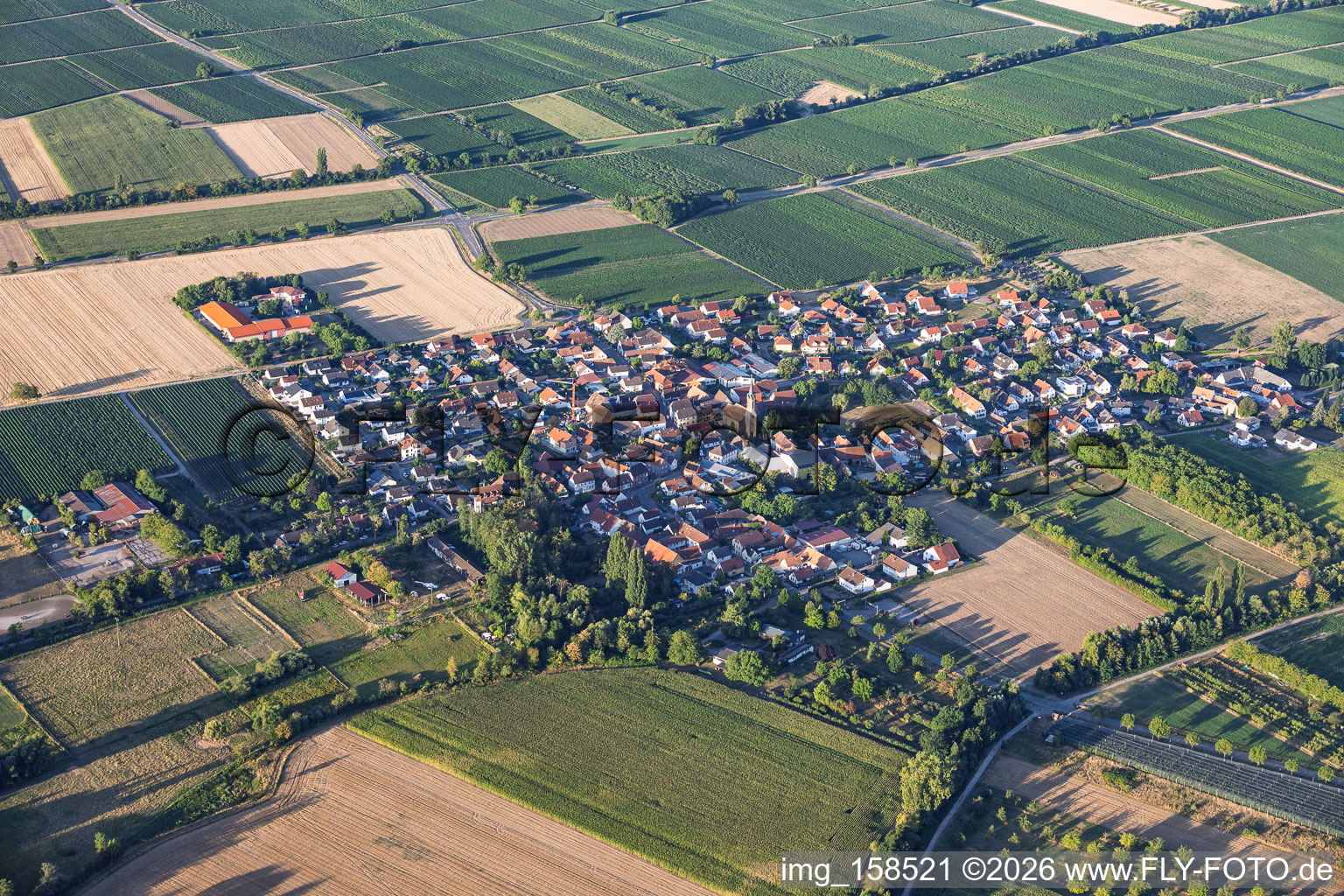 Vue du village depuis le nord-est à Großfischlingen dans le département Rhénanie-Palatinat, Allemagne