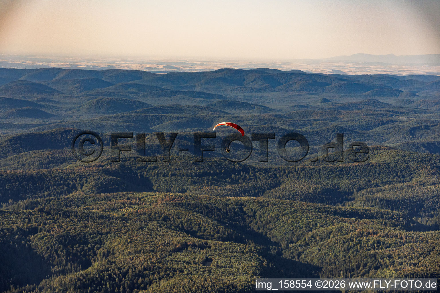Parapente au-dessus de la forêt du Palatinat à le quartier Glashütte in Lemberg dans le département Rhénanie-Palatinat, Allemagne