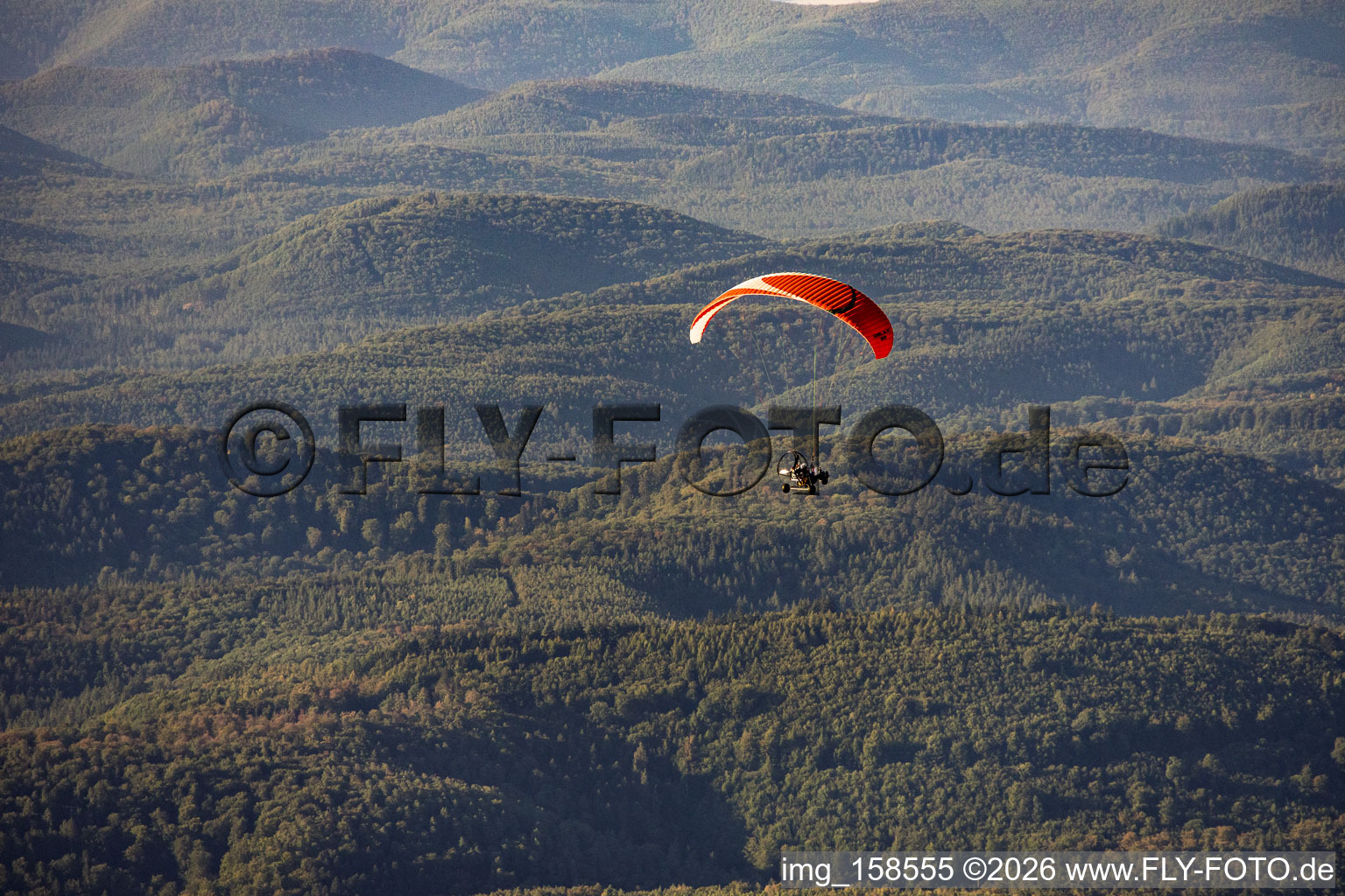 Parapente au-dessus de la forêt du Palatinat à le quartier Glashütte in Lemberg dans le département Rhénanie-Palatinat, Allemagne