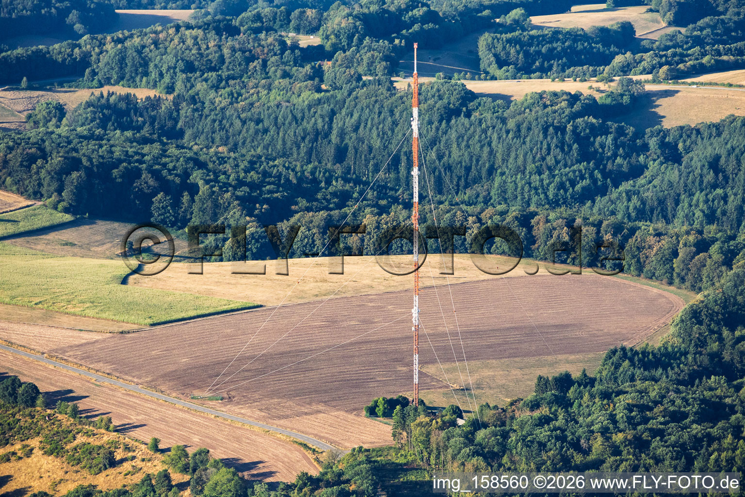 Mât principal Kettrichhof de la Southwest Broadcasting Corporation pour la FM, le DAB et DVB-T à le quartier Kettrichhof in Lemberg dans le département Rhénanie-Palatinat, Allemagne