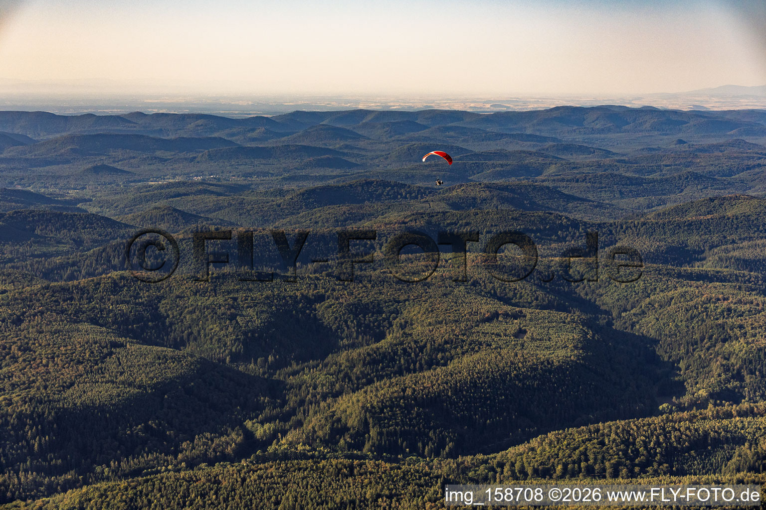 Parapente au-dessus de la forêt du Palatinat à le quartier Glashütte in Lemberg dans le département Rhénanie-Palatinat, Allemagne