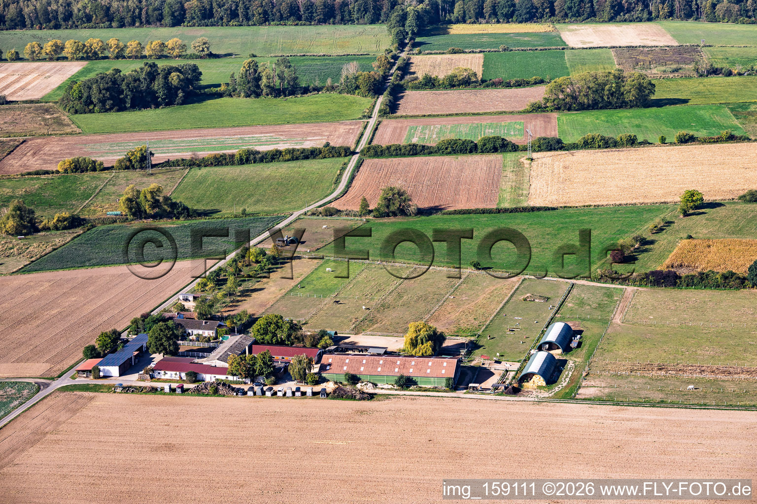 Haras de Römerhof à le quartier Richen in Groß-Umstadt dans le département Hesse, Allemagne