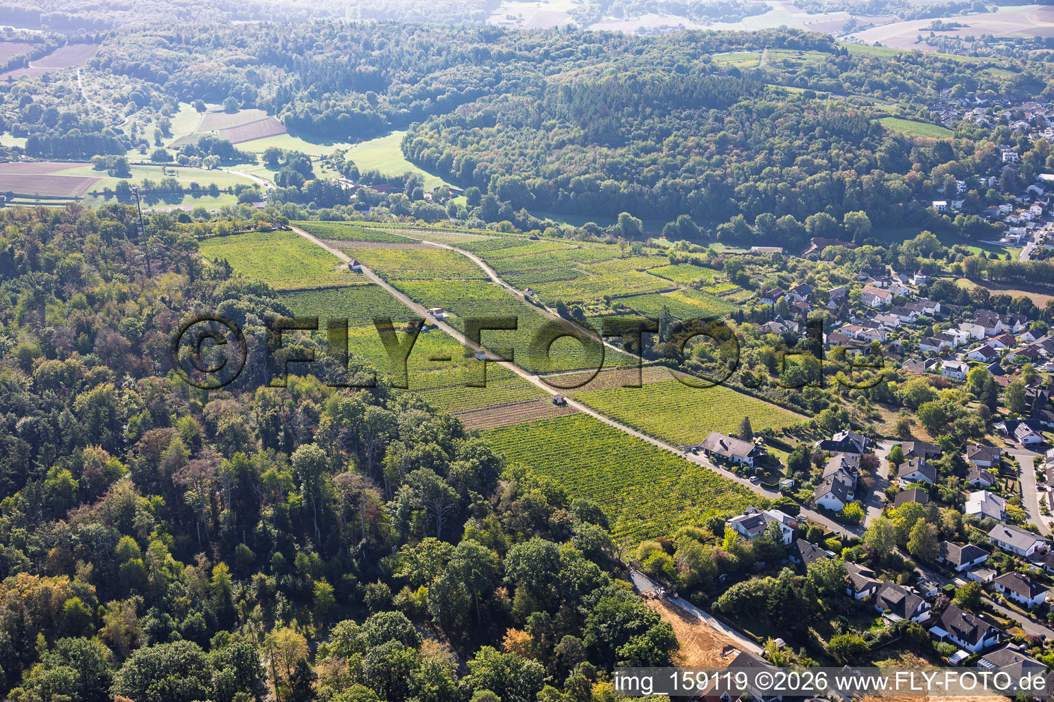 Vignoble de Steingerück avec le chalet Krezmar à Groß-Umstadt dans le département Hesse, Allemagne