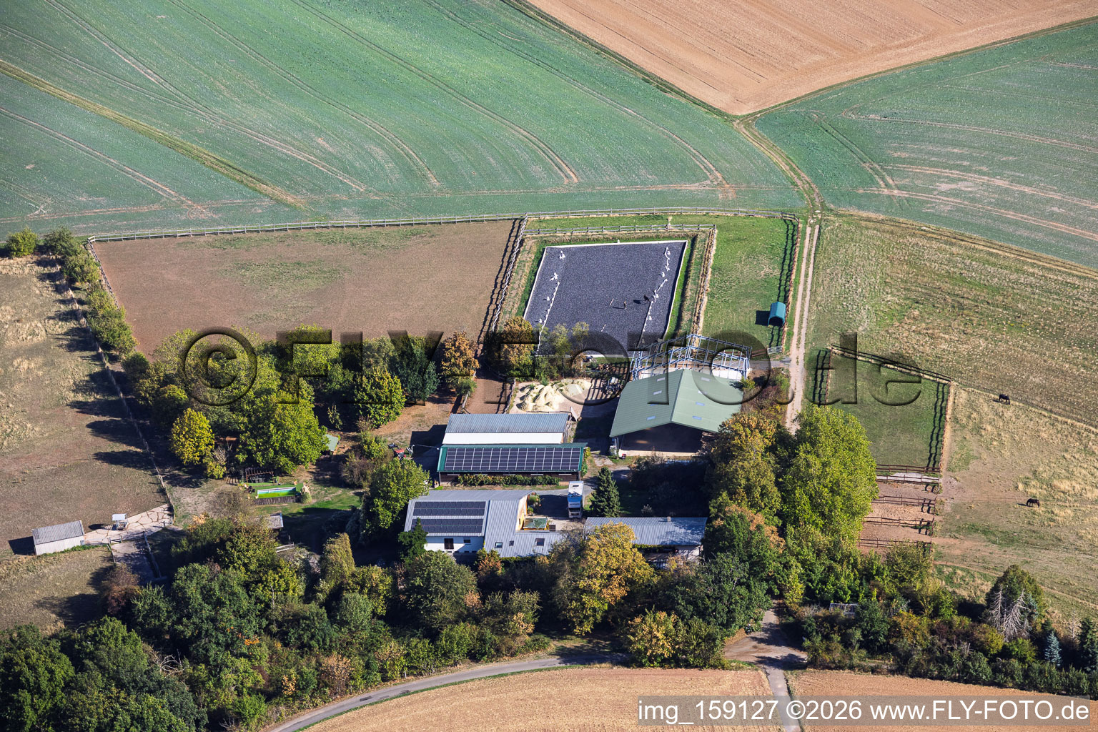 Fermes équestres Heil à le quartier Klein-Umstadt in Groß-Umstadt dans le département Hesse, Allemagne