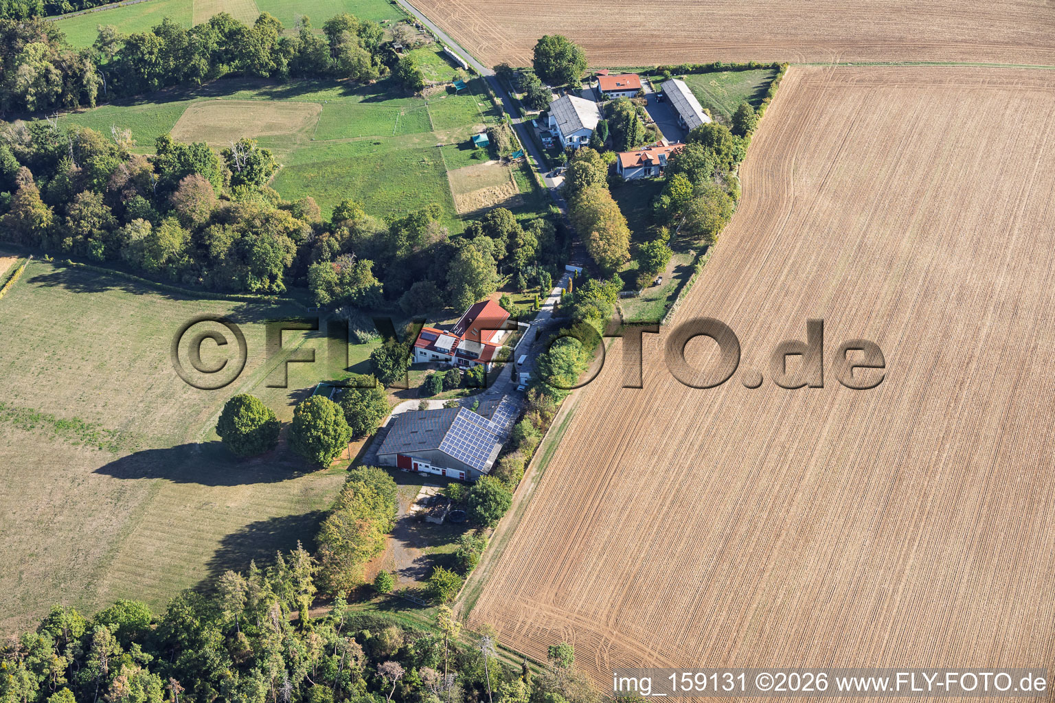 Fermes près de Schlierbach à le quartier Klein-Umstadt in Groß-Umstadt dans le département Hesse, Allemagne