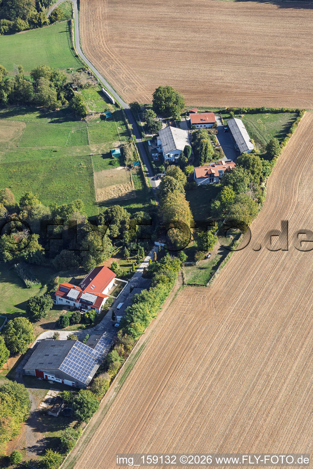 Fermes près de Schlierbach à le quartier Klein-Umstadt in Groß-Umstadt dans le département Hesse, Allemagne