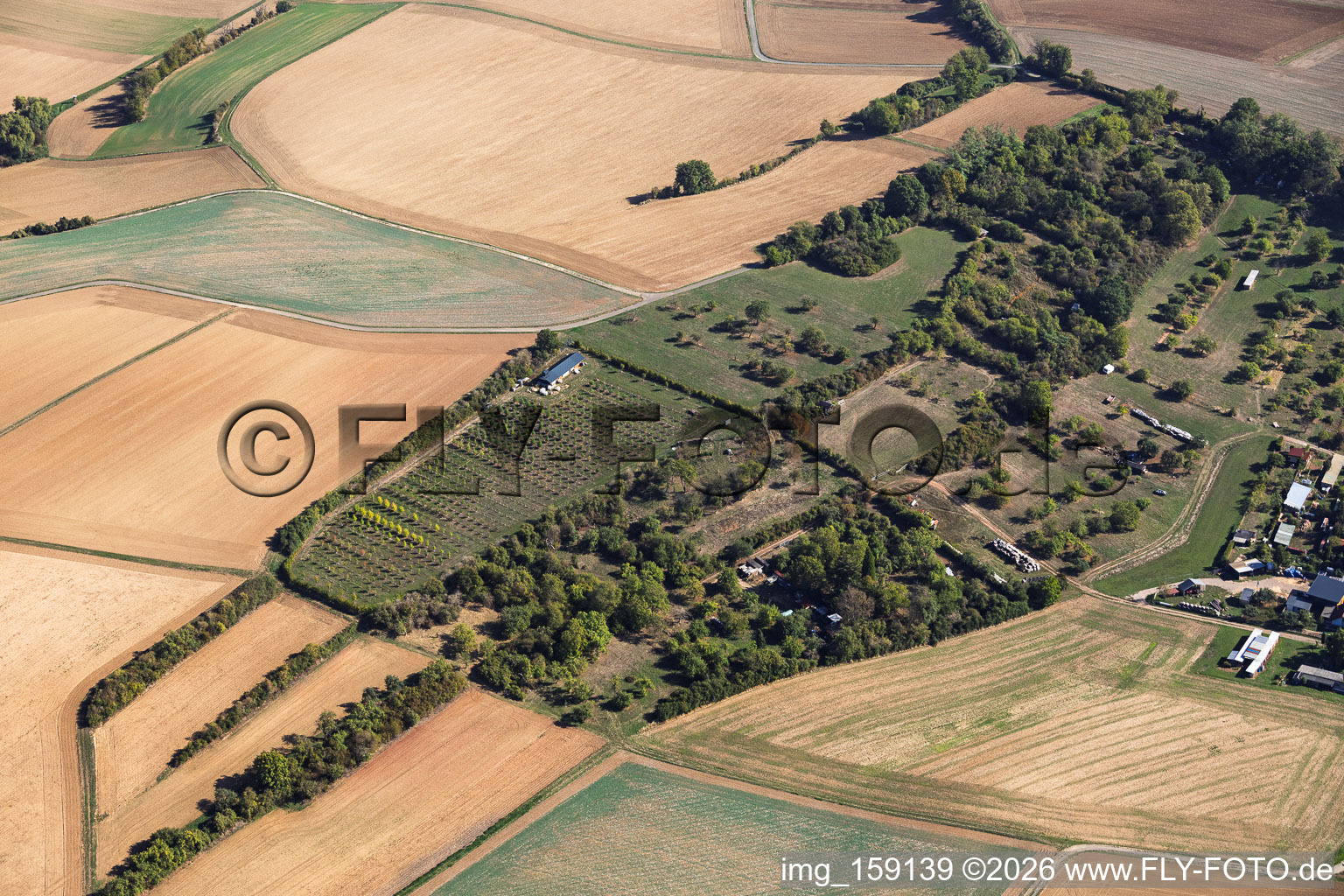 Pépinière à l'Ancienne Aqueduc Mosbach à le quartier Mosbach in Schaafheim dans le département Hesse, Allemagne